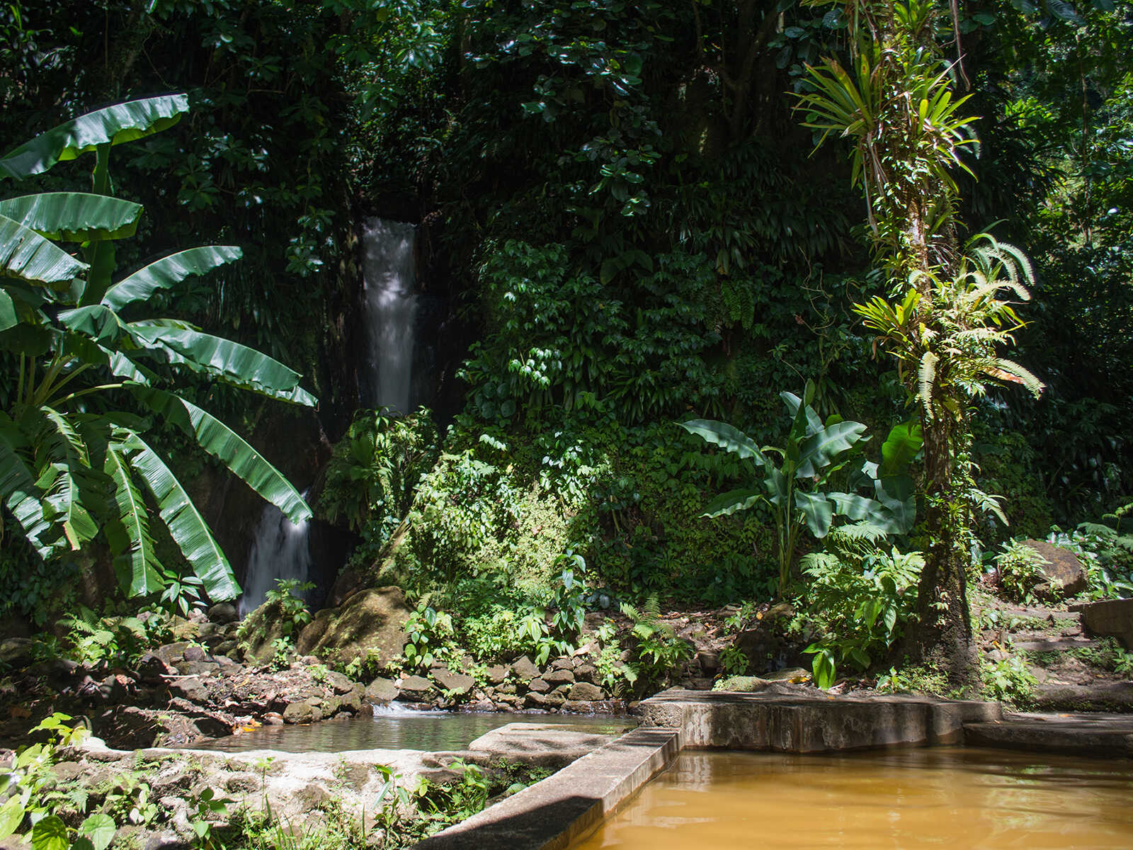 Papillote Tropical Gardens