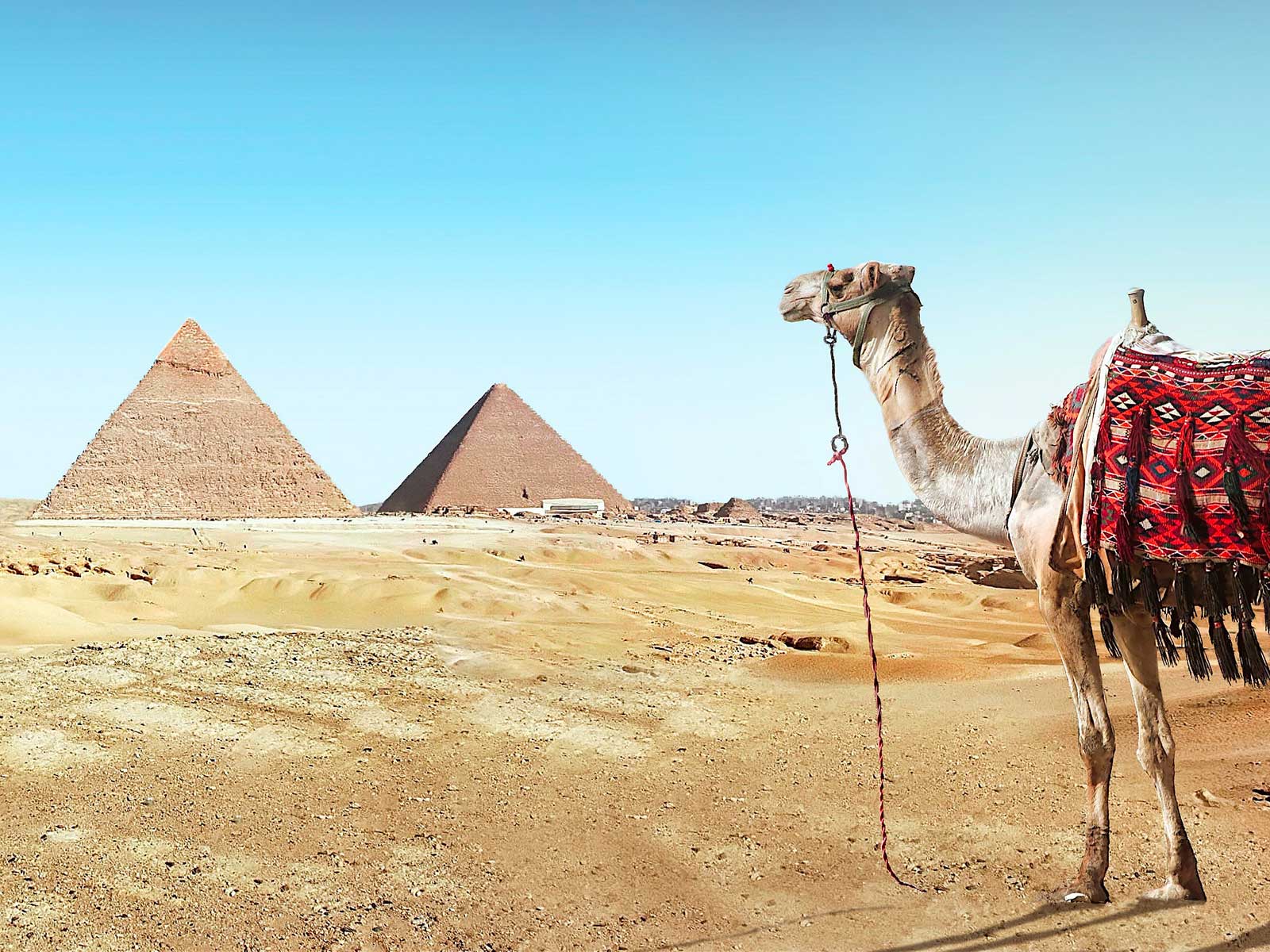 Imprescindibles en Egipto