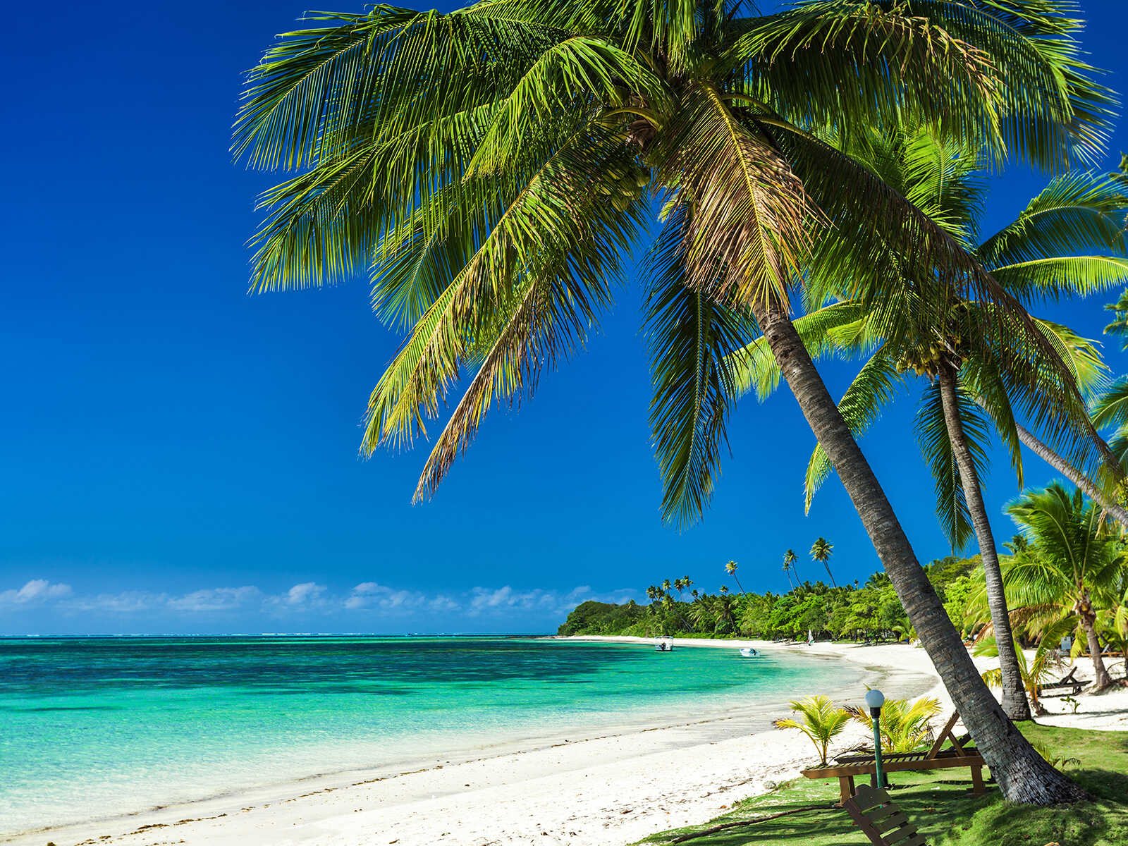 Imprescindibles en Fiyi