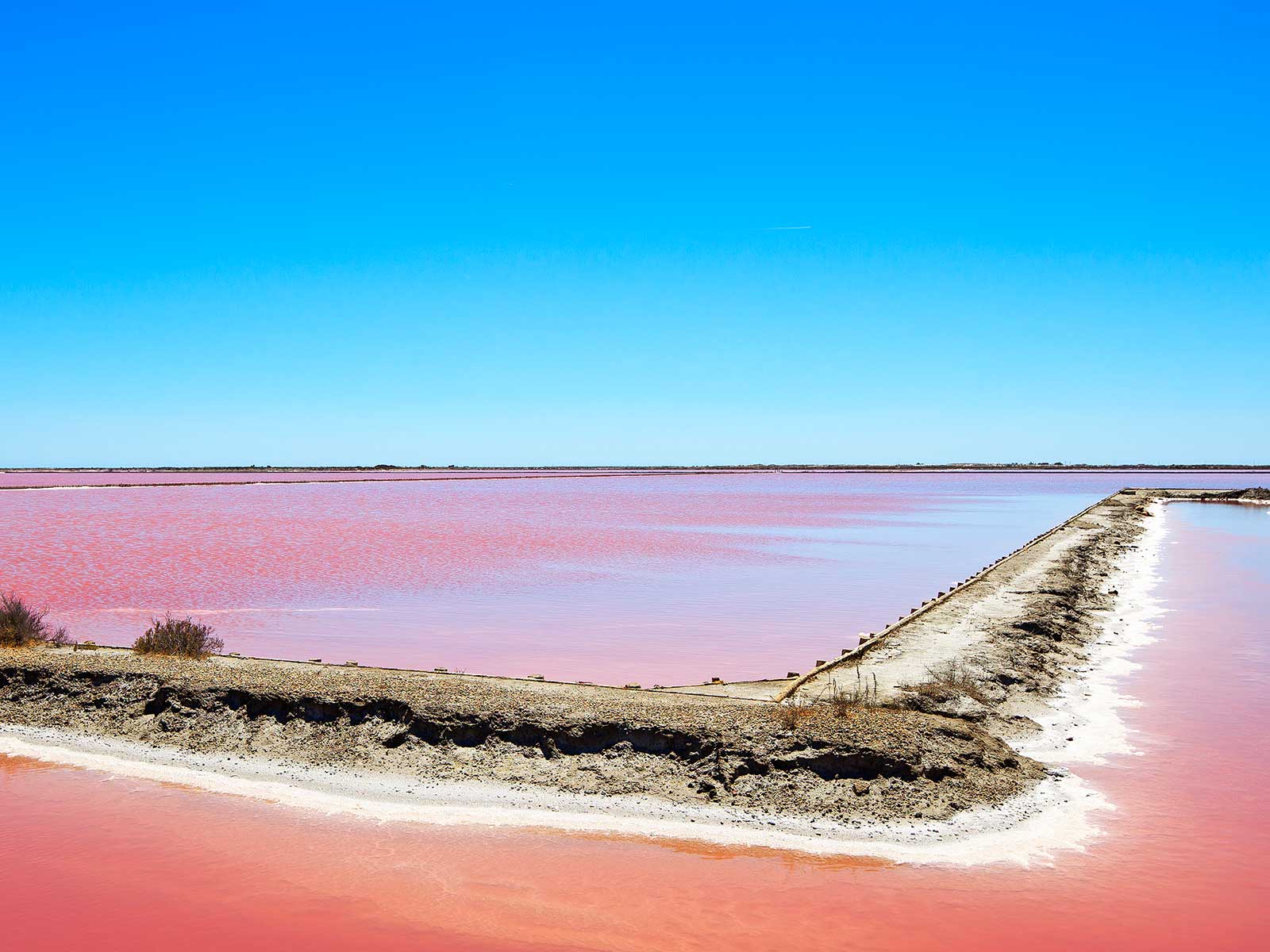 Vista adicional 1 de Parque Regional de Camarga