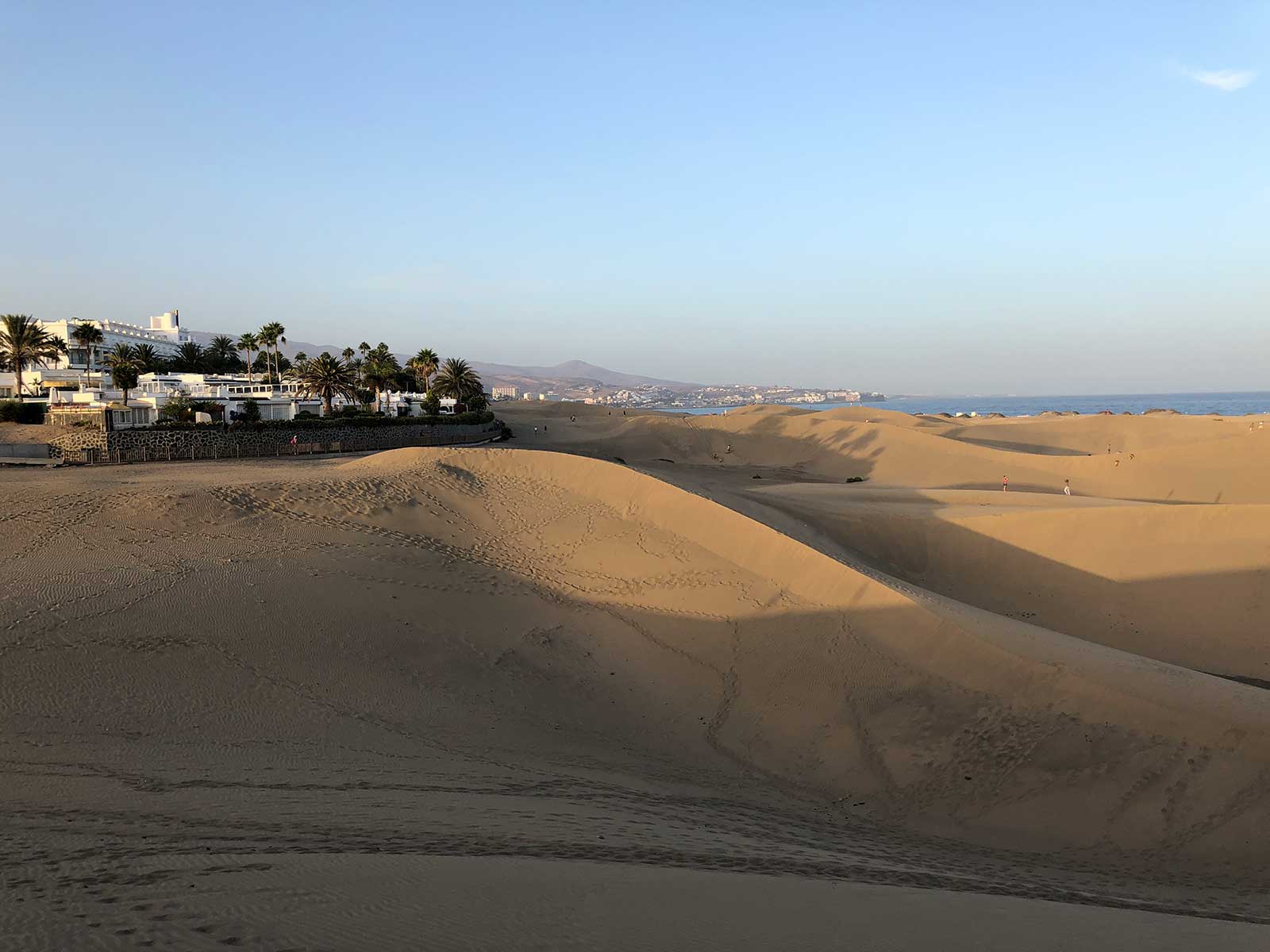 Vista adicional 1 de Reserva Natural de Dunas de Maspalomas
