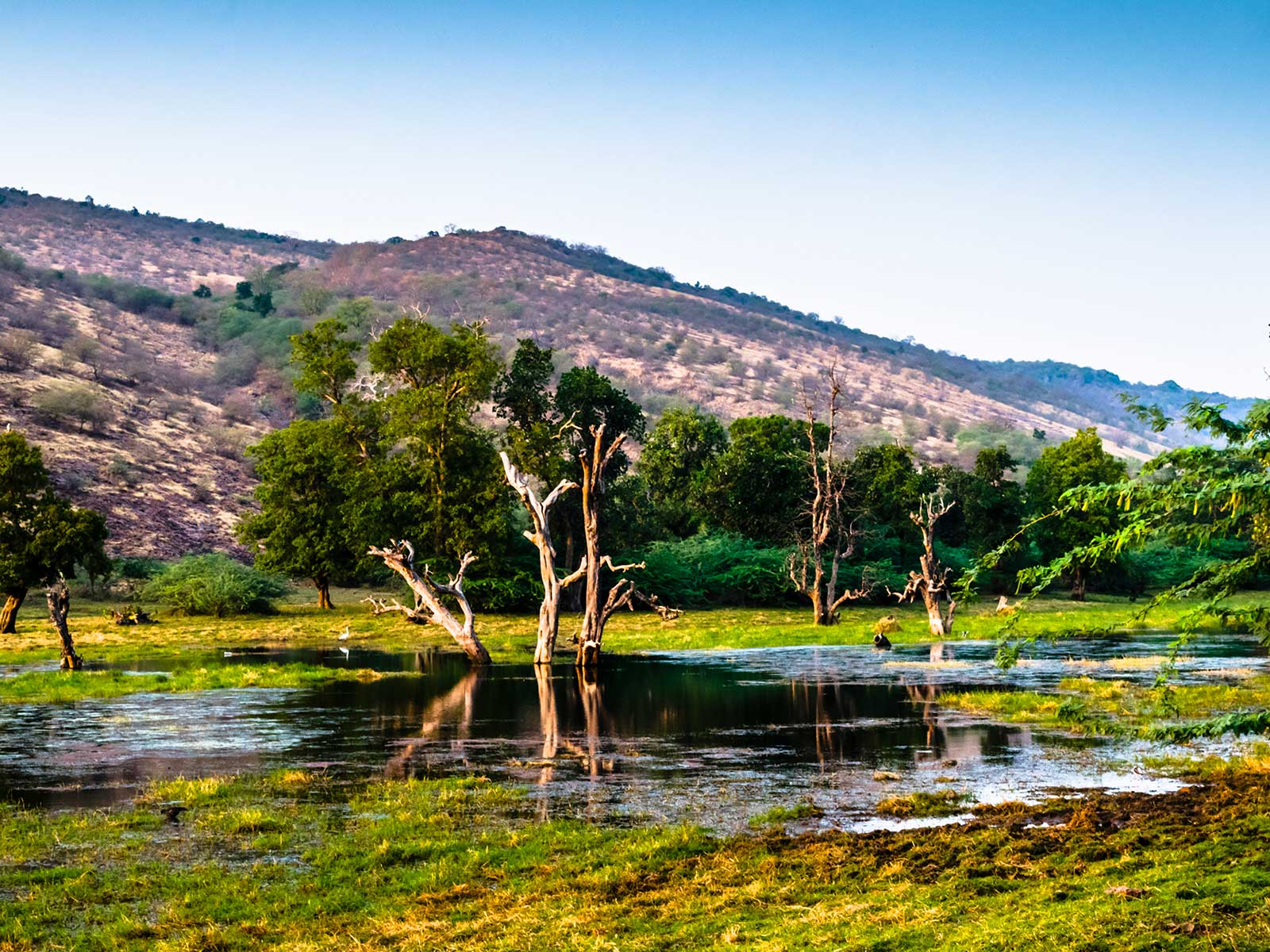 Ranthambore National Park