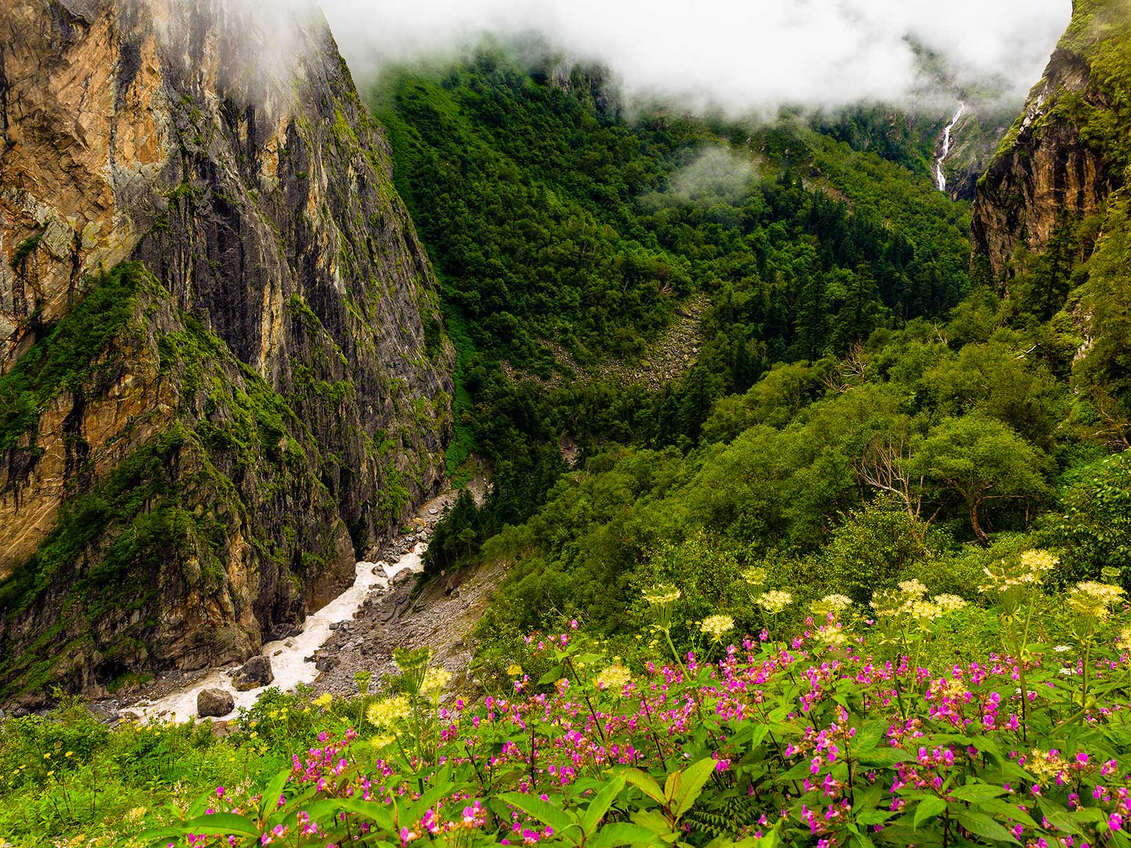 Valley of Flowers