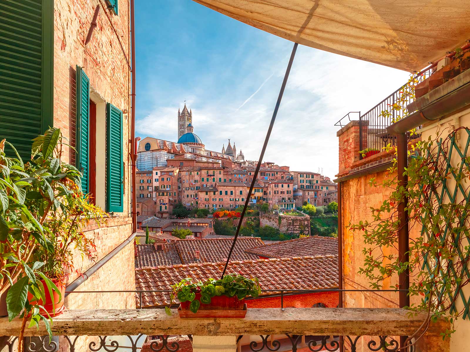 Additional view 2 of Siena