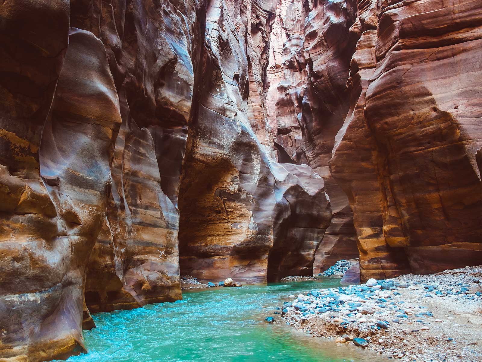 Mujib Nature Reserve