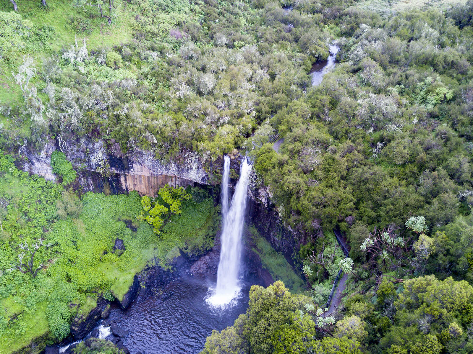 Aberdare National Park