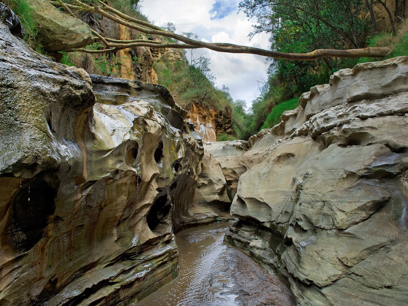 Hells Gate National Park