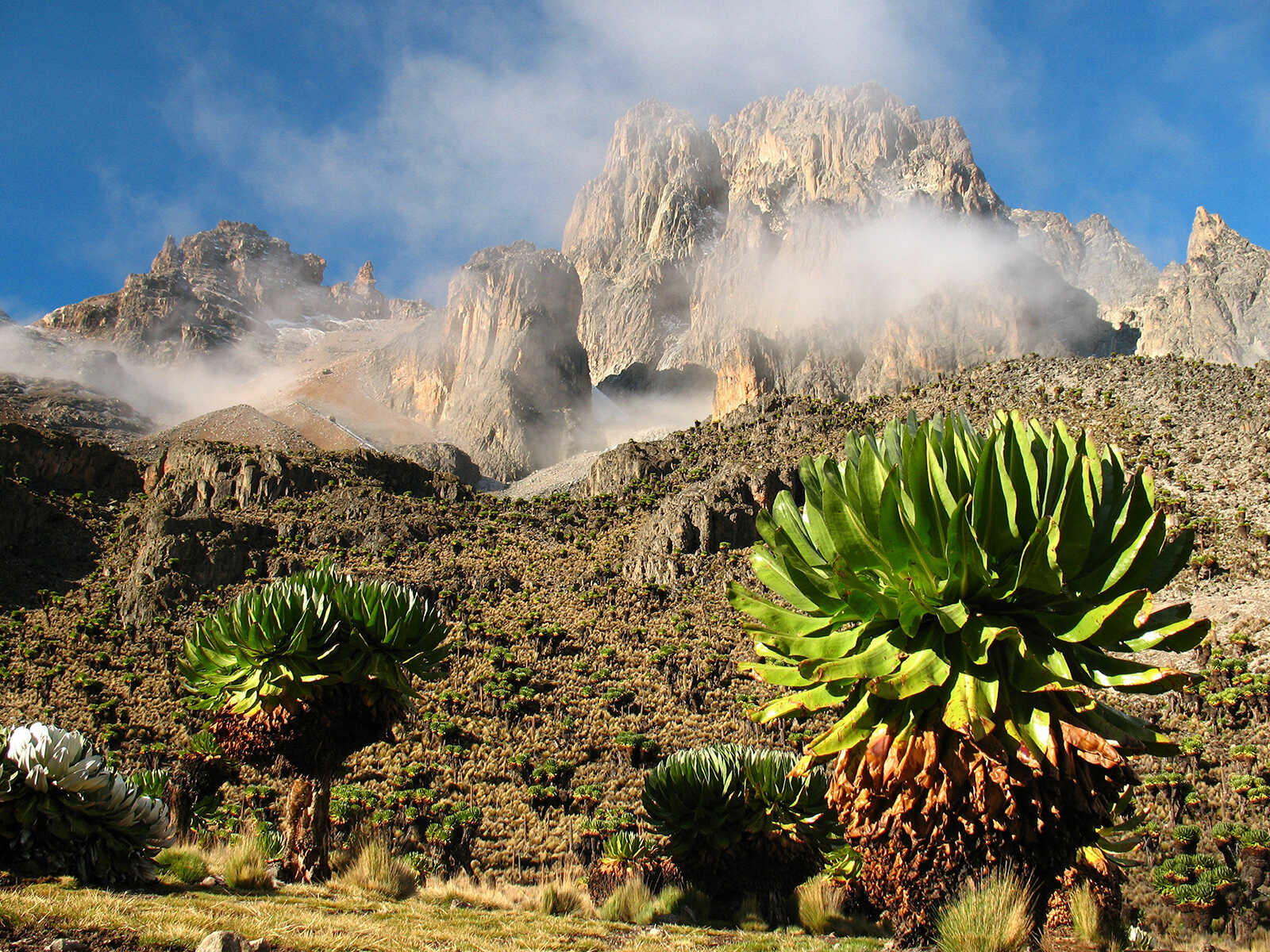 Mount Kenya