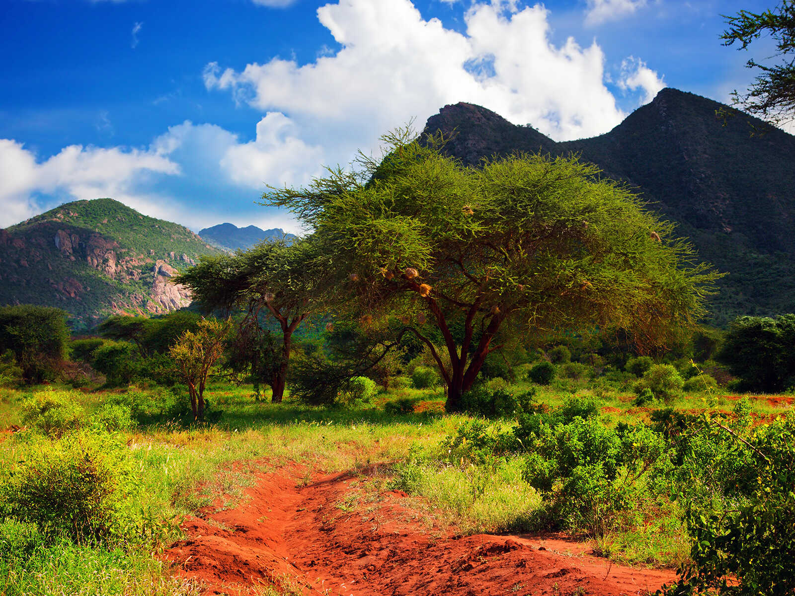 Tsavo West National Park