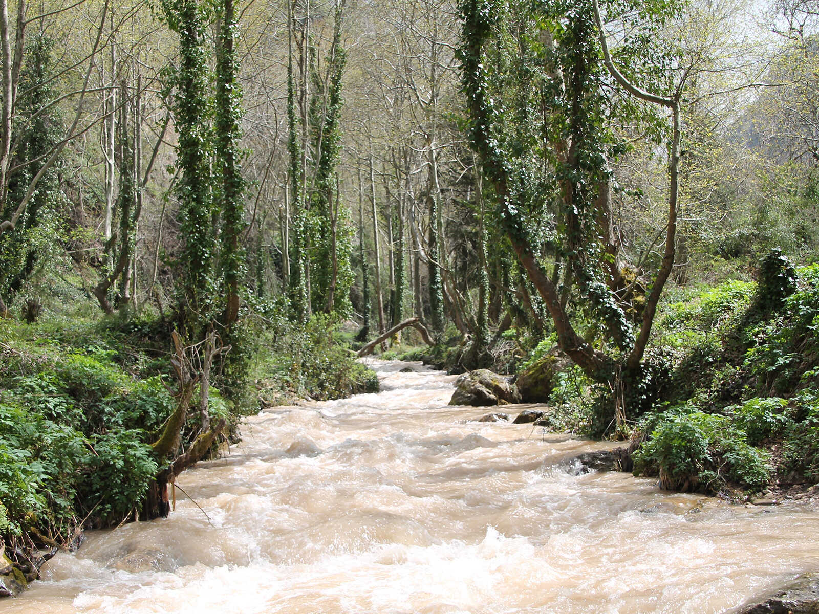 Additional view 1 of Kadisha Valley