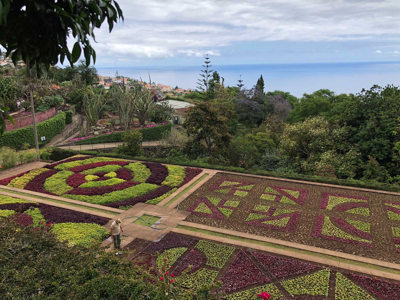 Jardim Botânico da Madeira