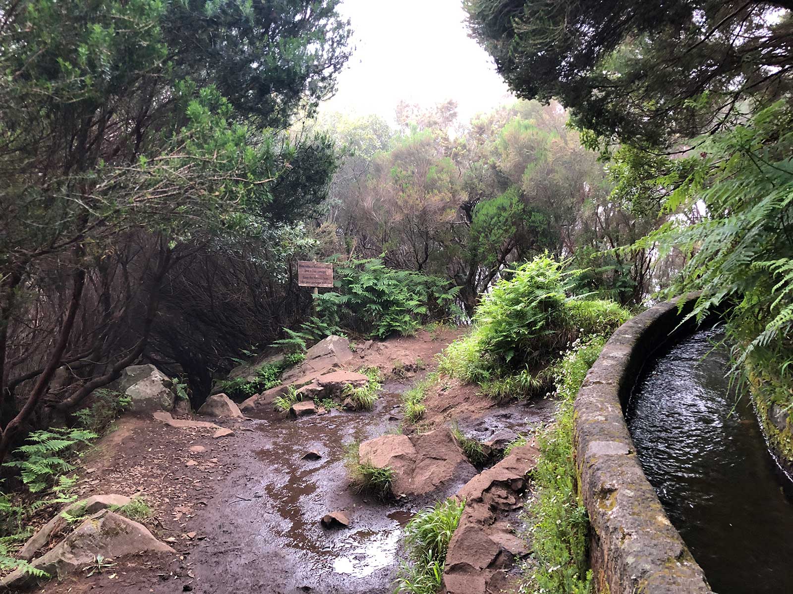 Additional view 2 of Levada Walks