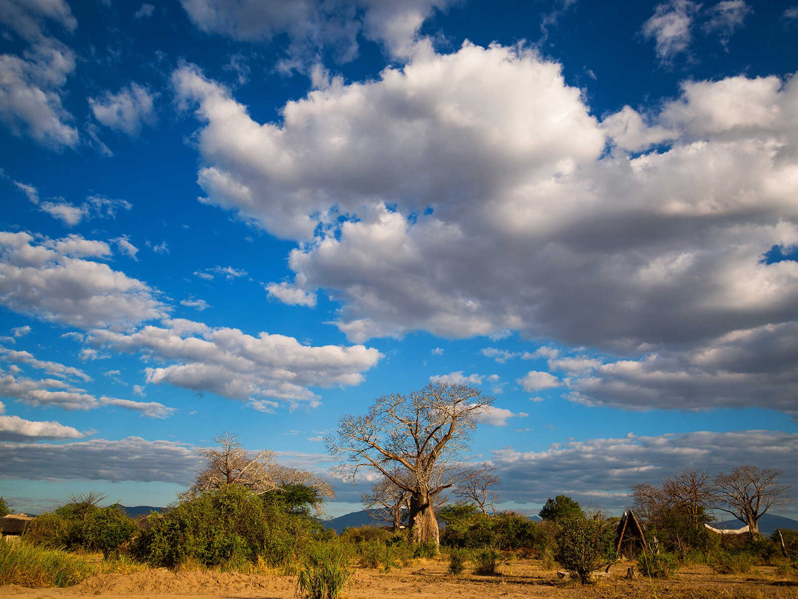 Liwonde National Park