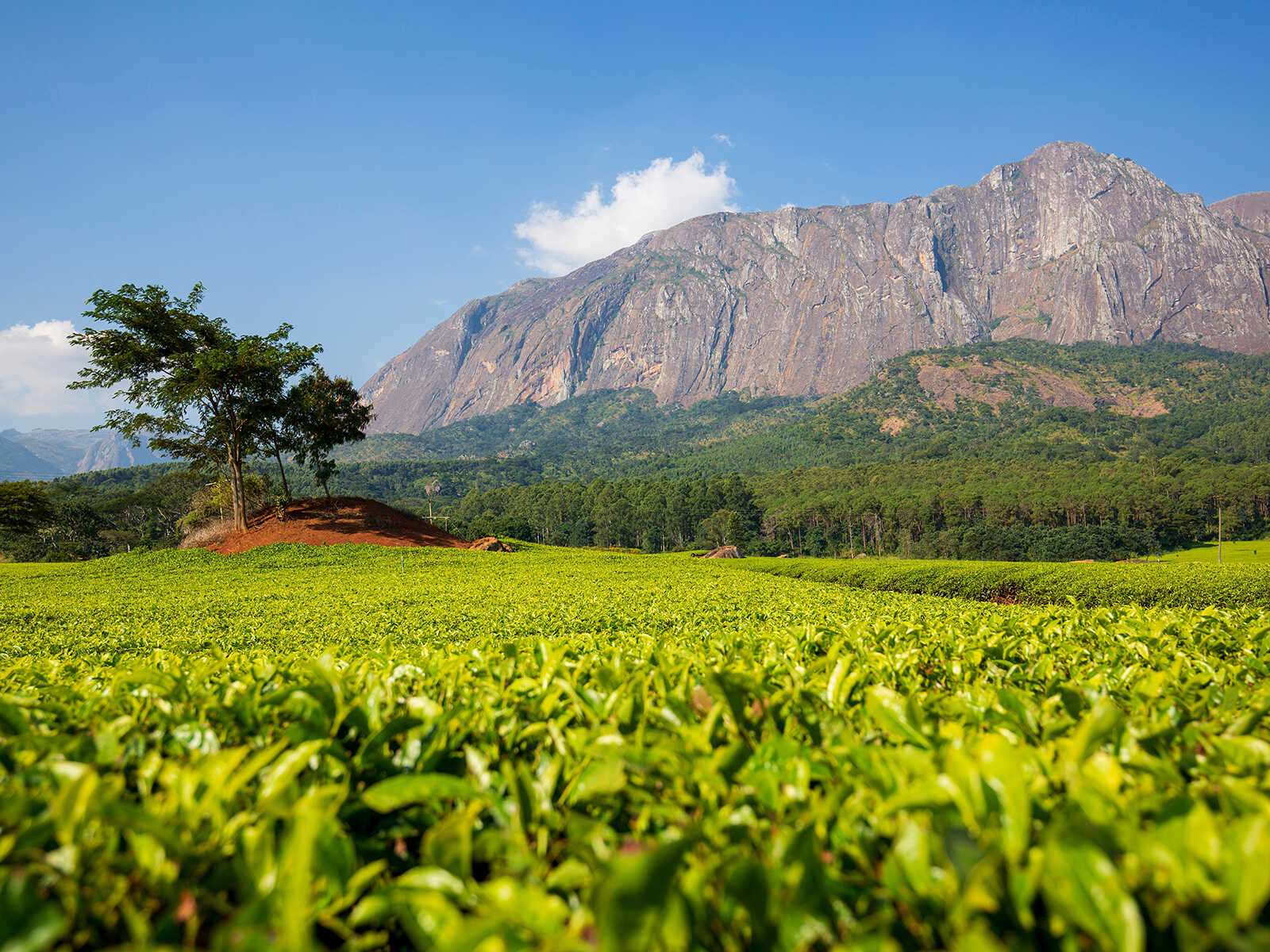 Mulanje Massif
