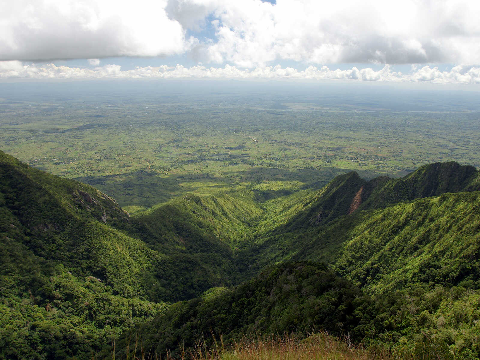 Zomba Plateau