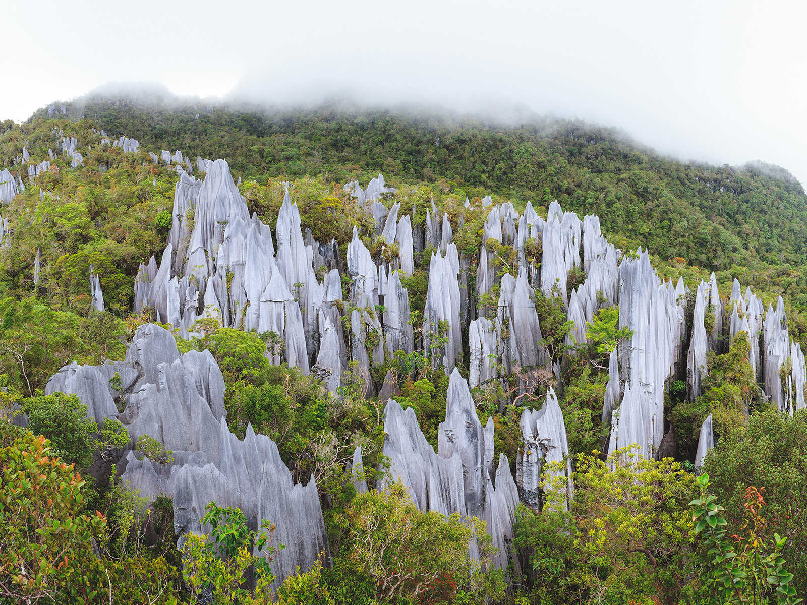 Vista adicional 1 de Parque Nacional Gunung Mulu