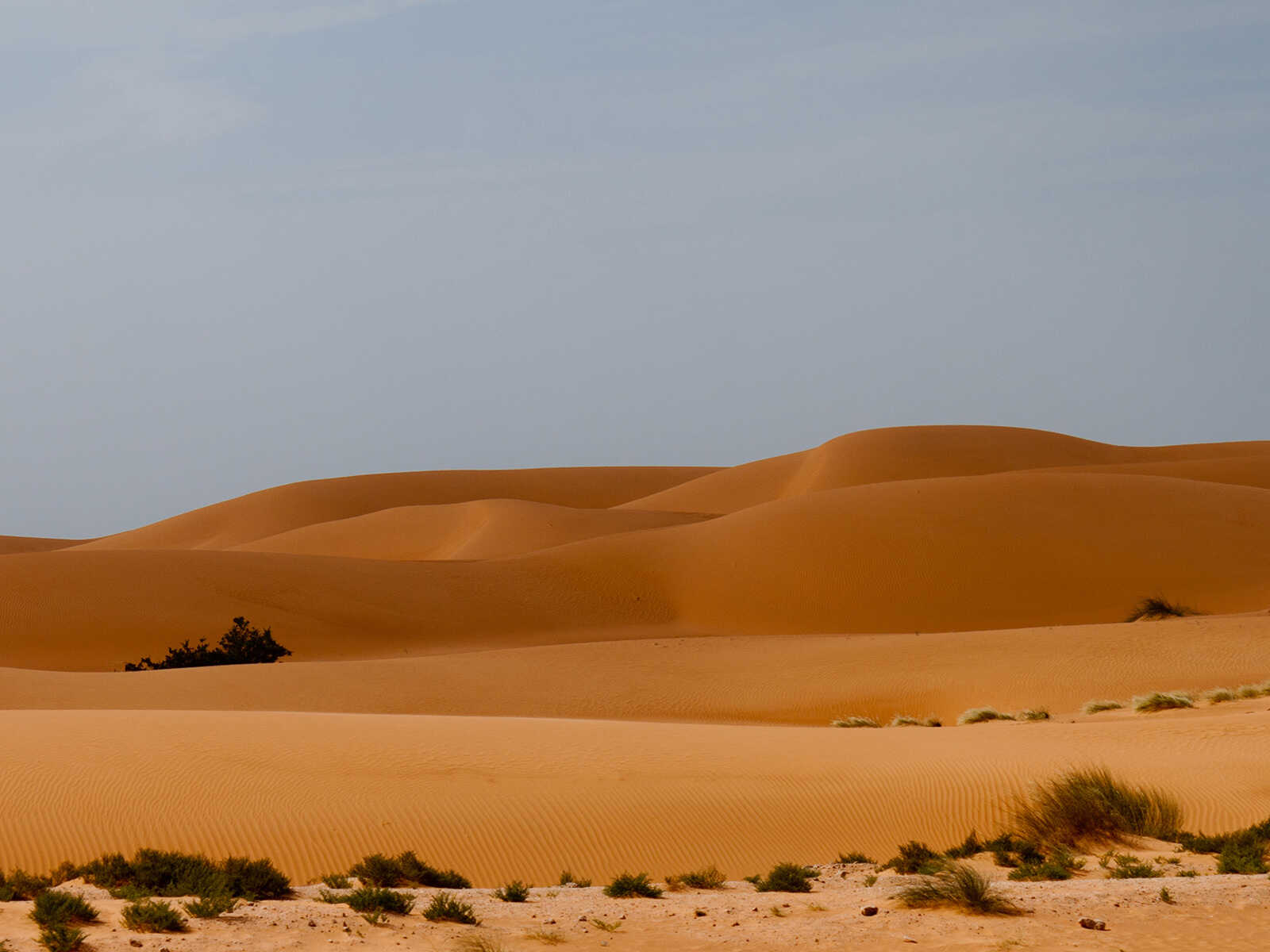 Banc d'Arguin National Park
