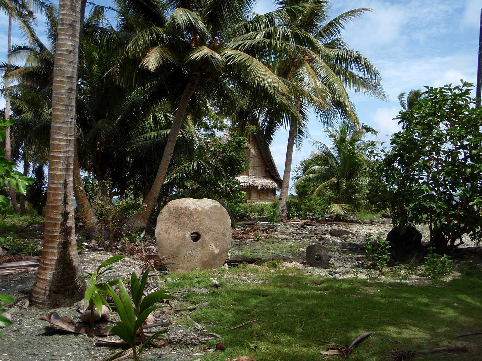 Additional view 2 of Yap