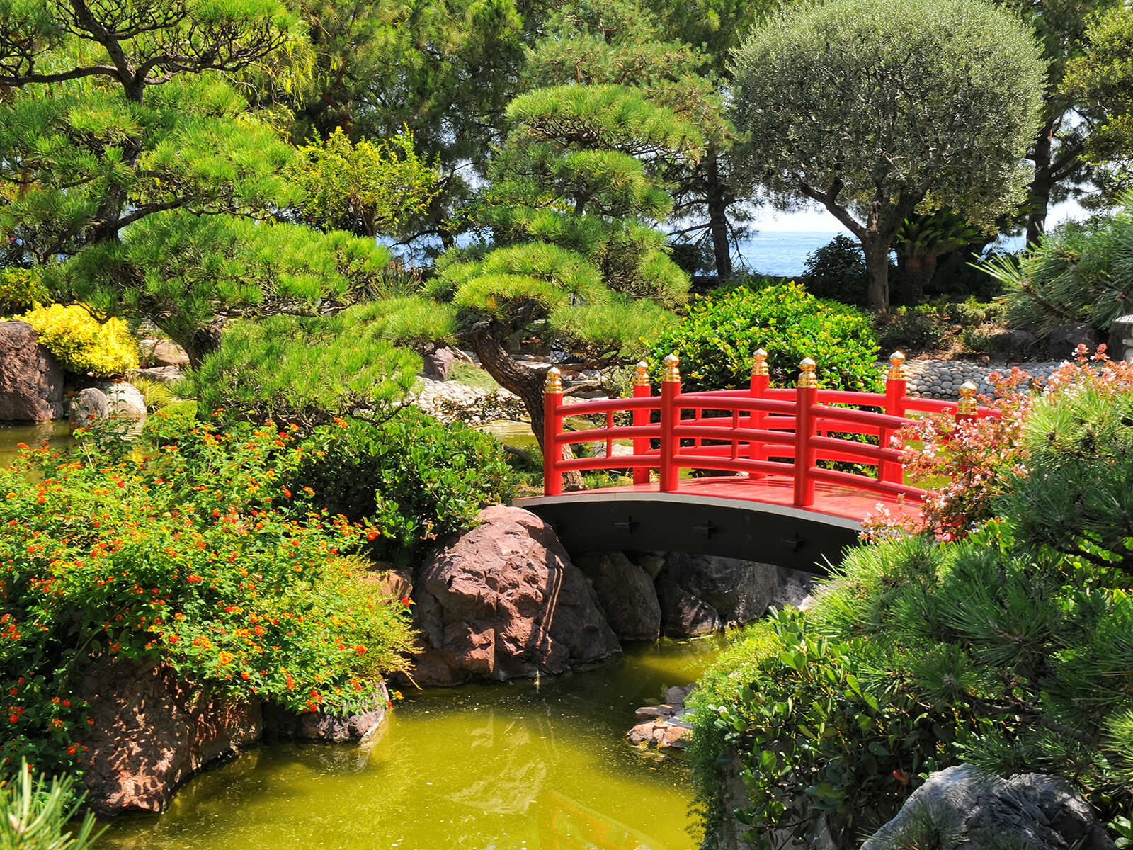 Japanese Garden