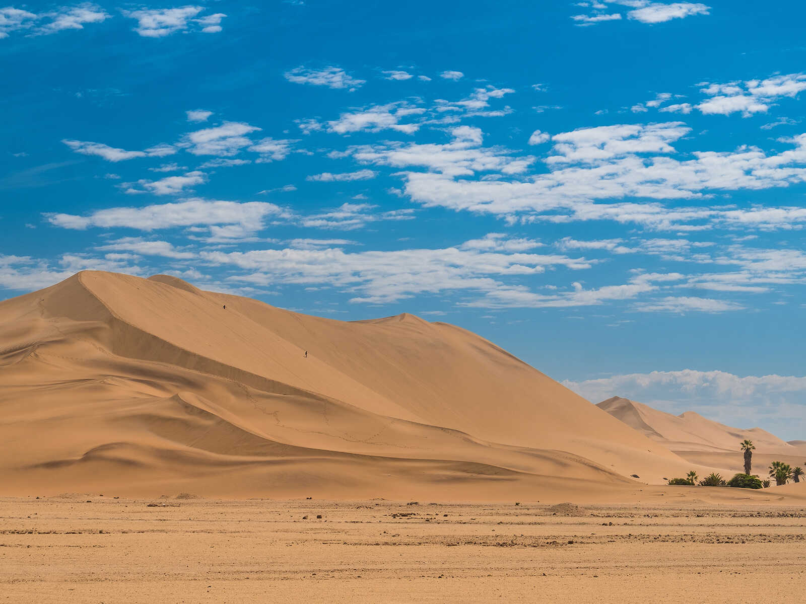 Additional view 1 of Dune 7