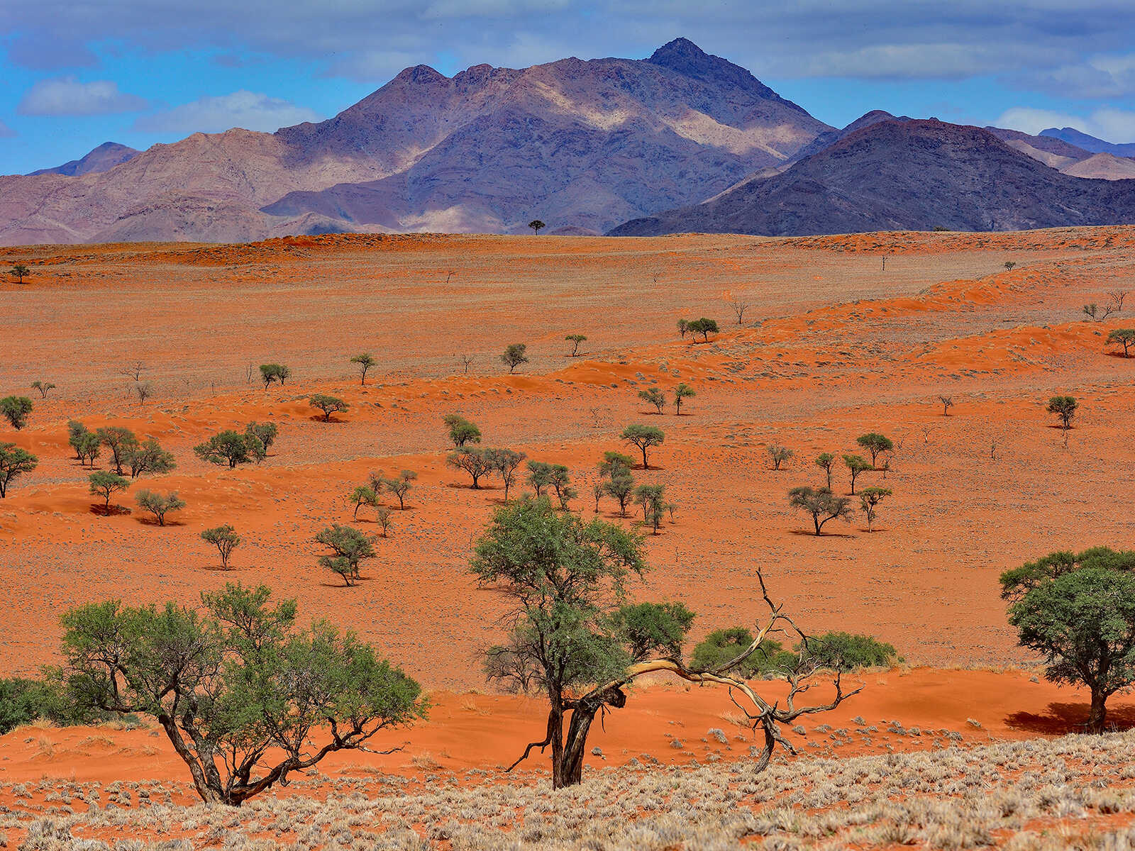 NamibRand-Naturreservat
