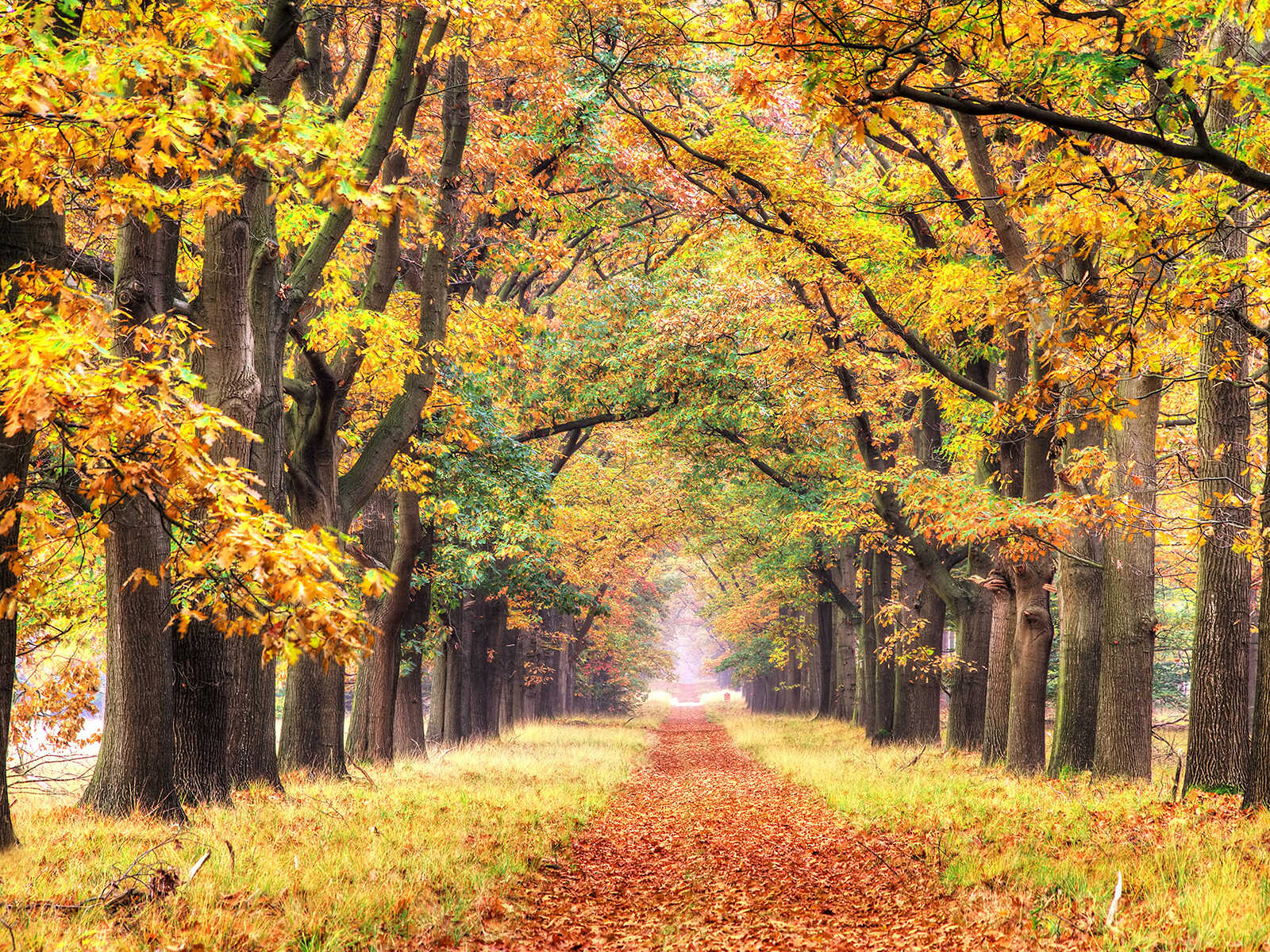 Hoge Veluwe National Park