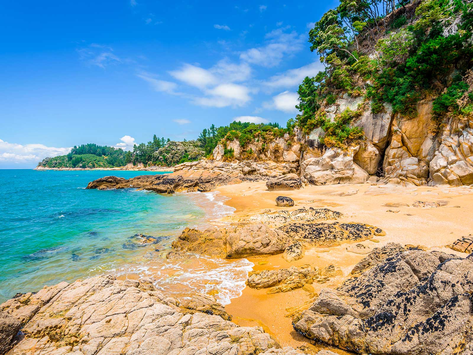 Abel Tasman National Park