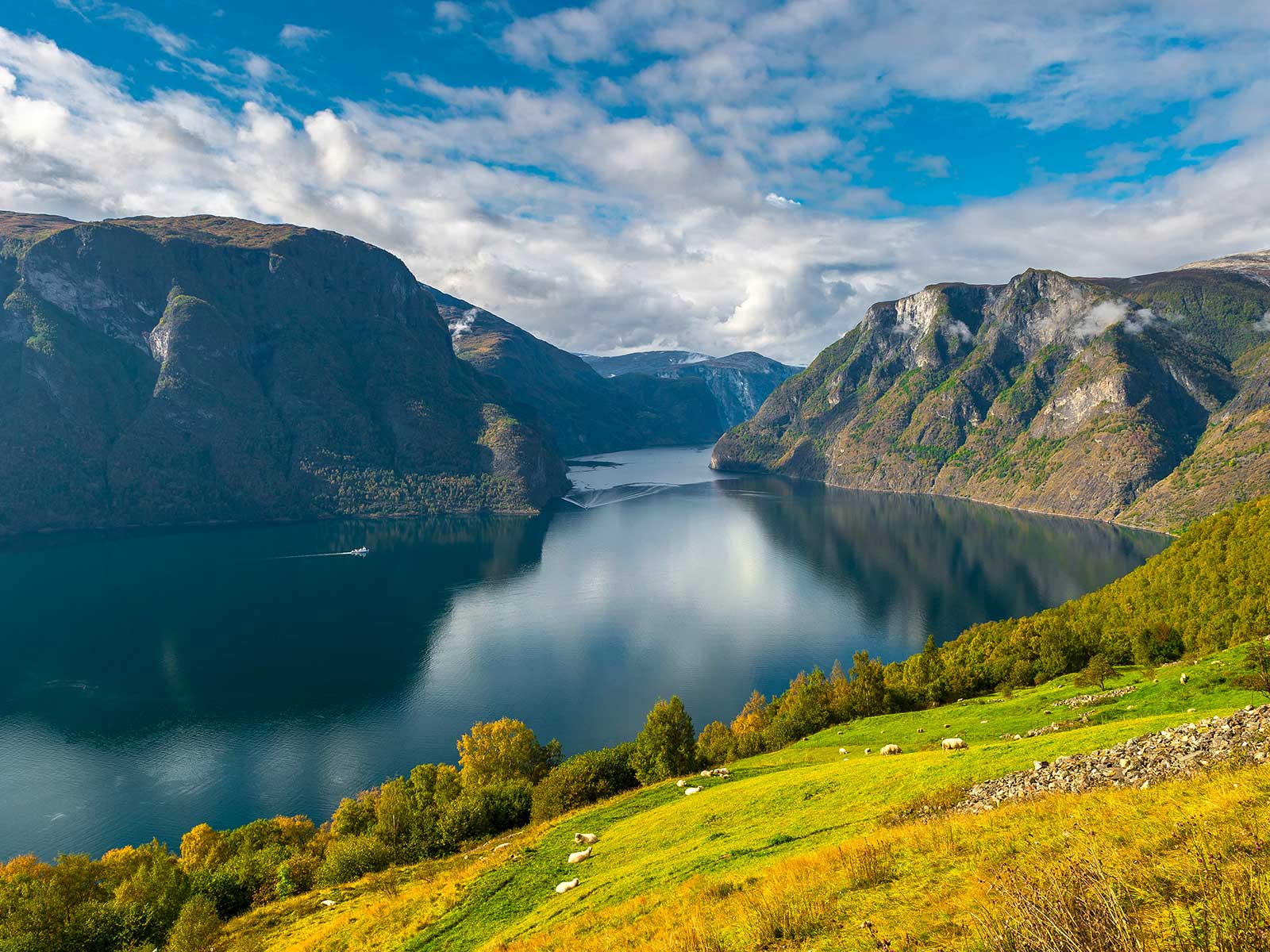 Sognefjord