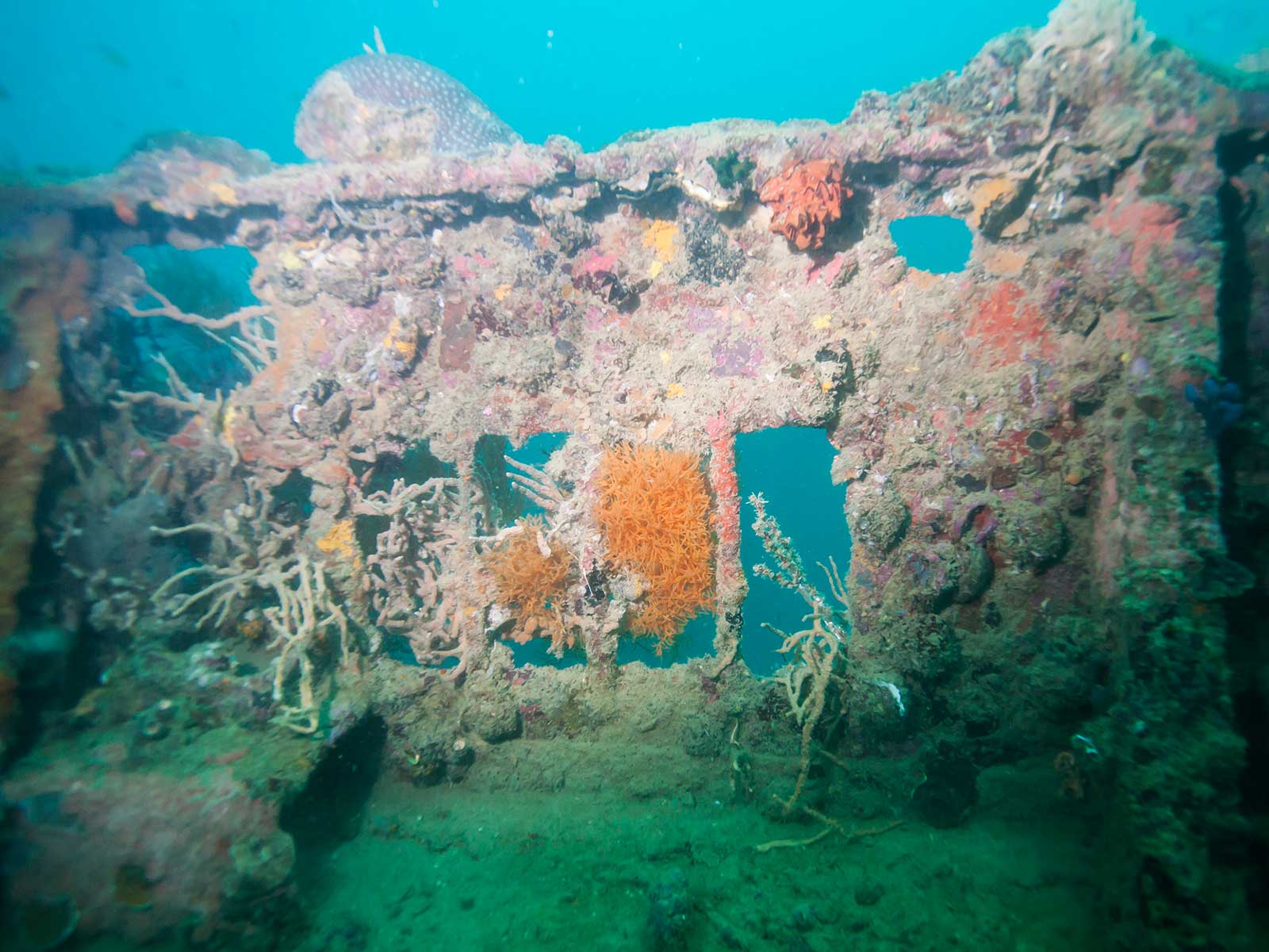 Additional view 1 of Coron Wrecks
