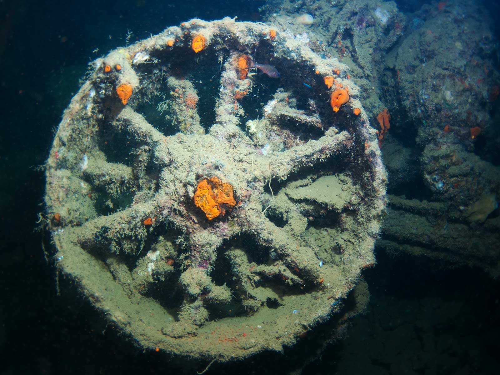 Additional view 2 of Coron Wrecks