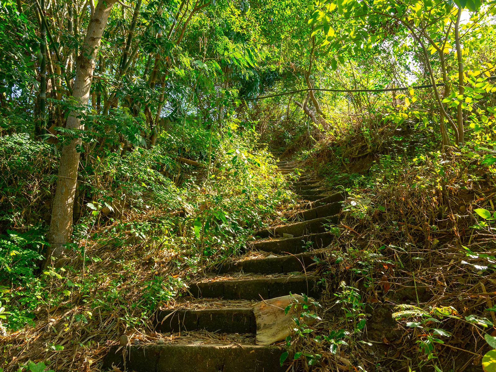 Walkway to the Old Volcano and Stations of the Cross
