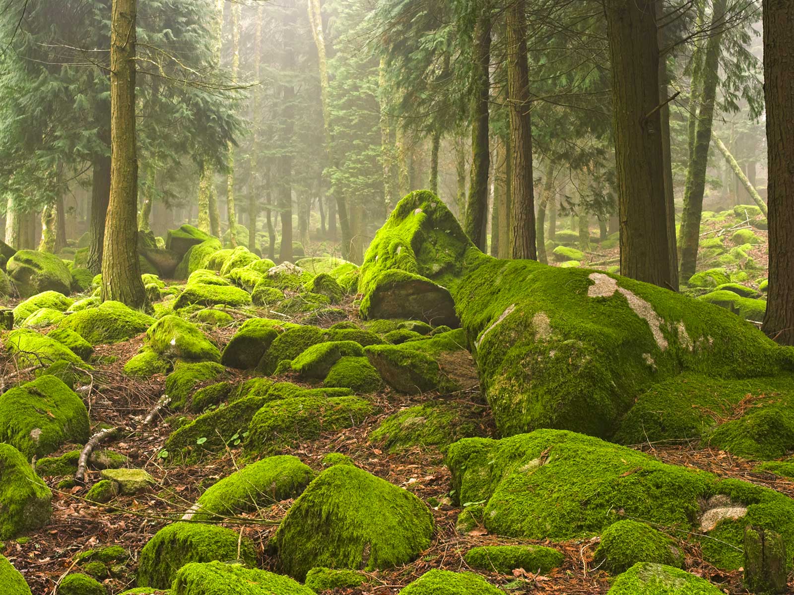 Peneda-Gerês National Park