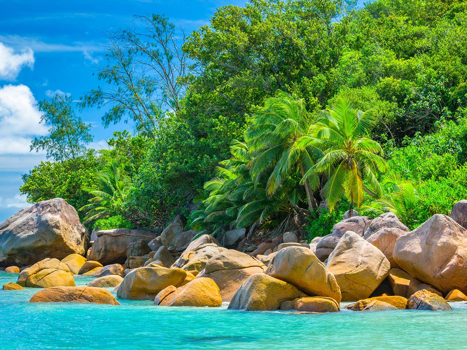 Additional view 1 of Anse Georgette