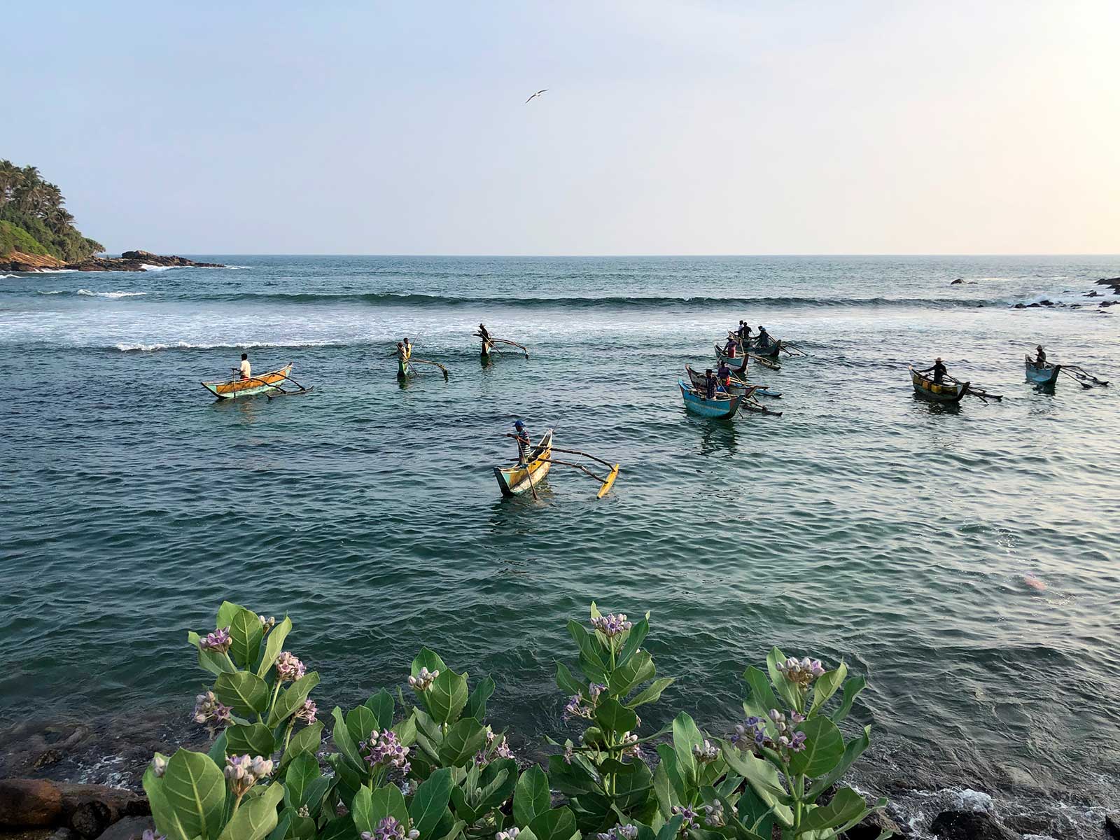 View Point Kottegoda
