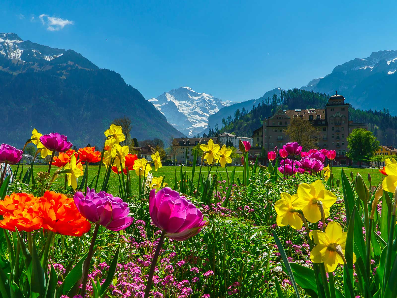 Additional view 2 of Interlaken