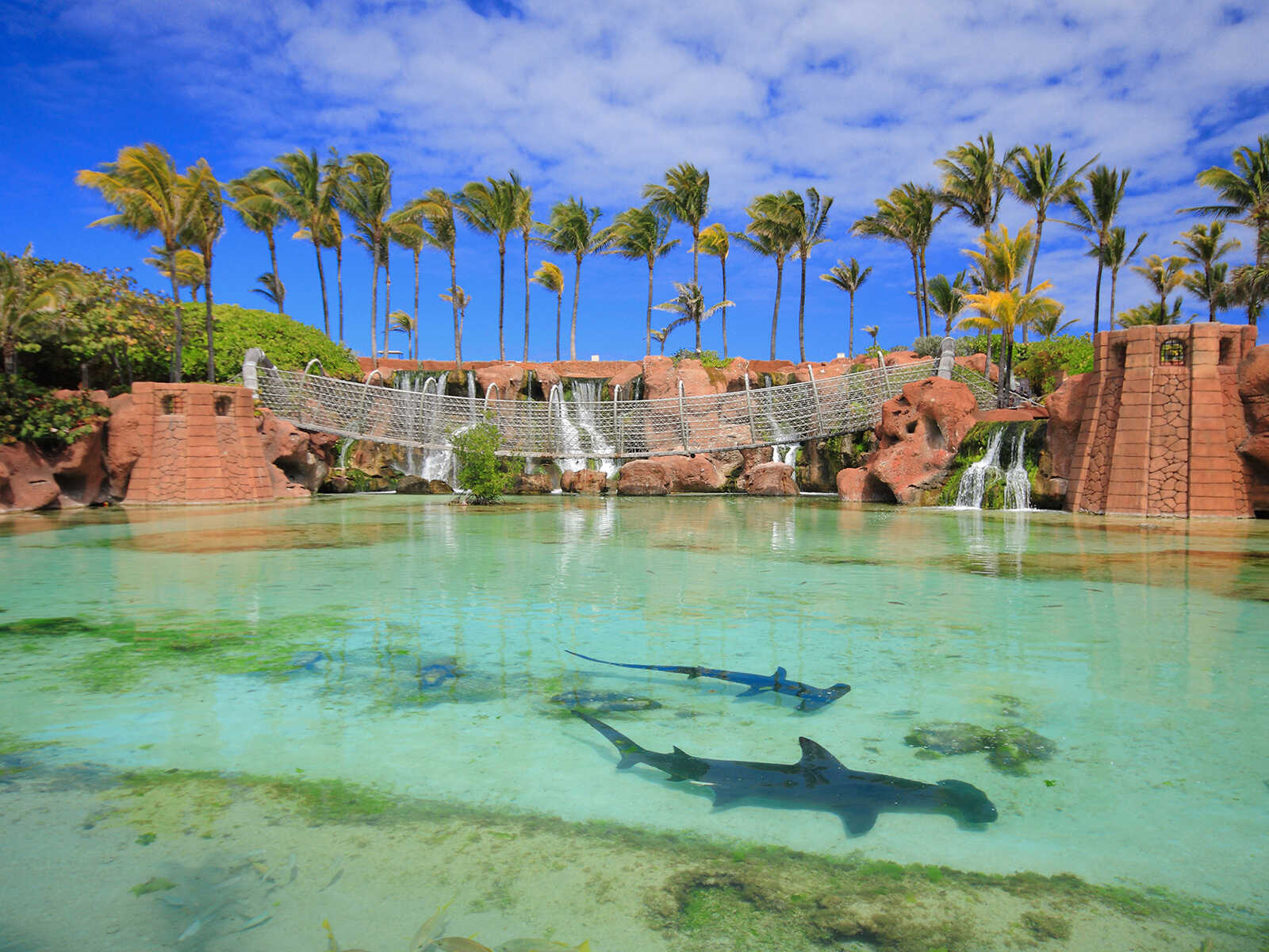 Atlantis Bahamas