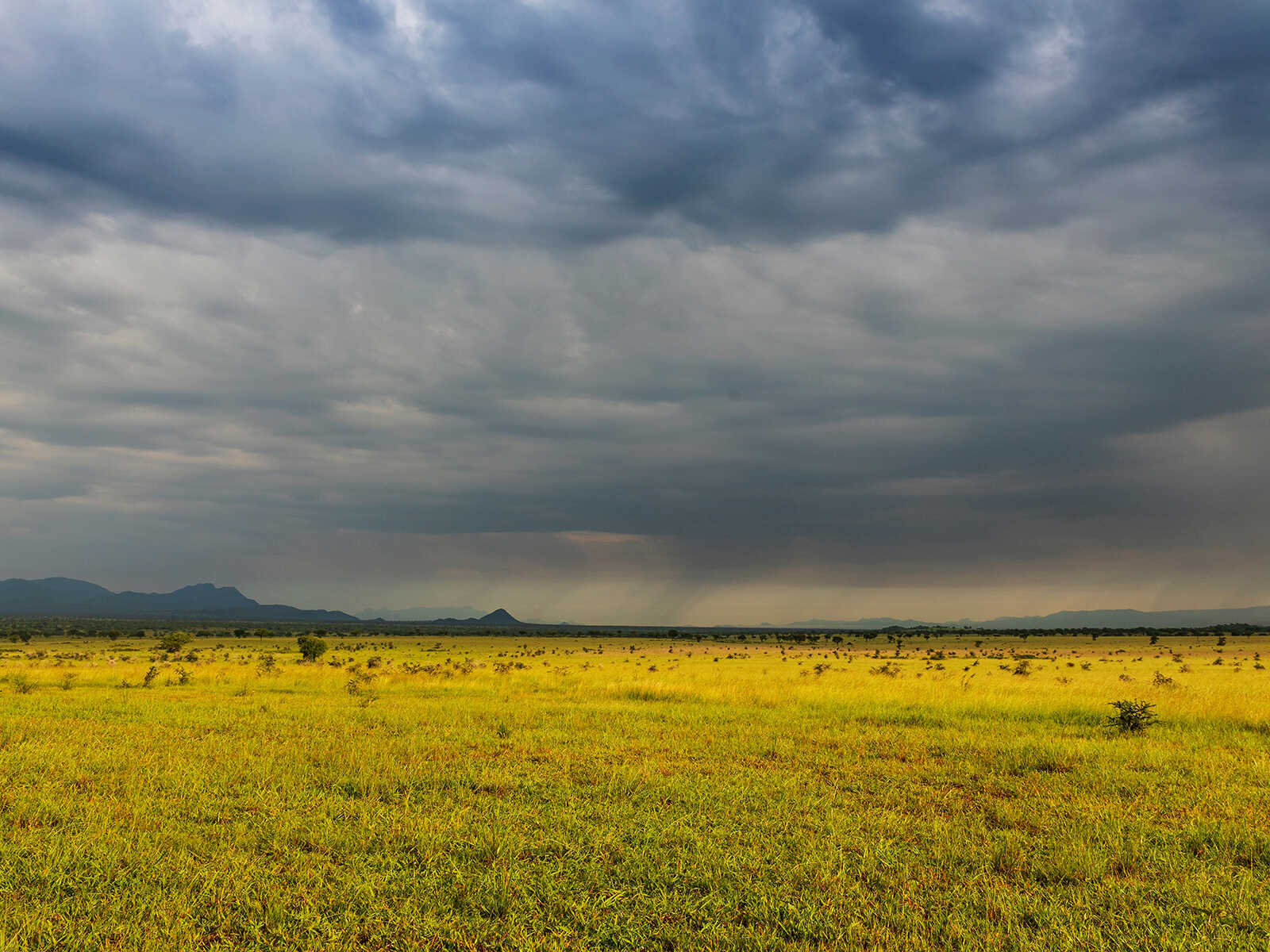 Kidepo Valley National Park