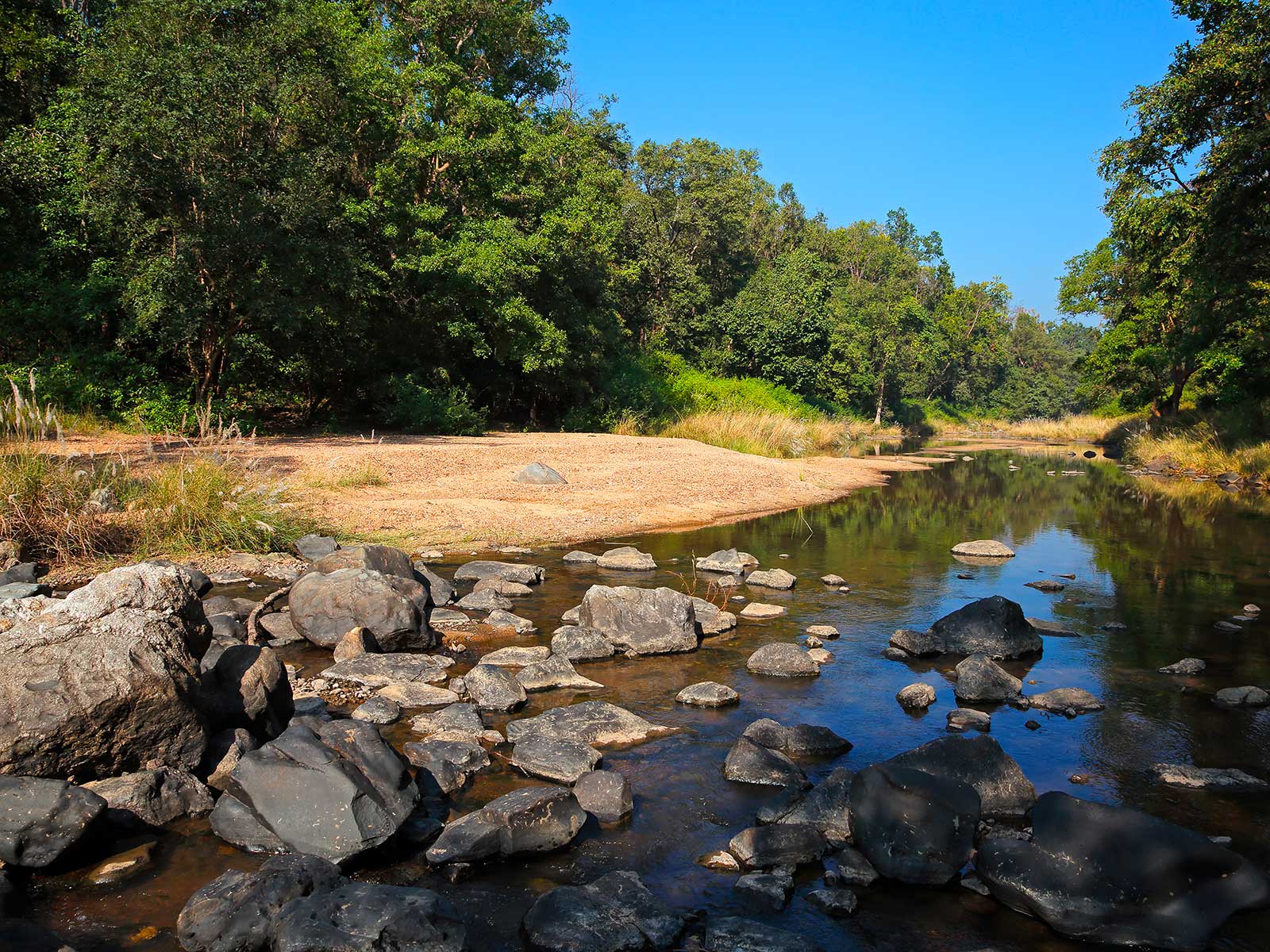 Kanha National Park