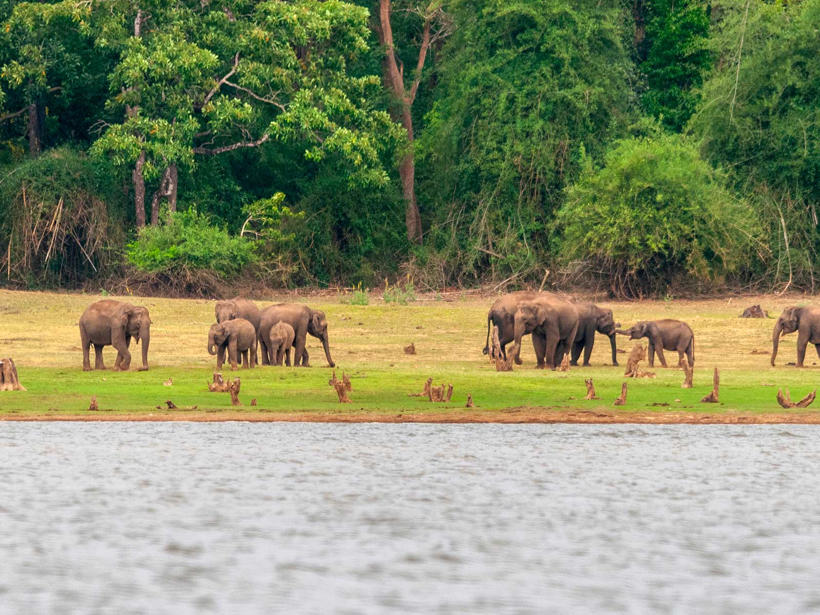 Nagarhole National Park