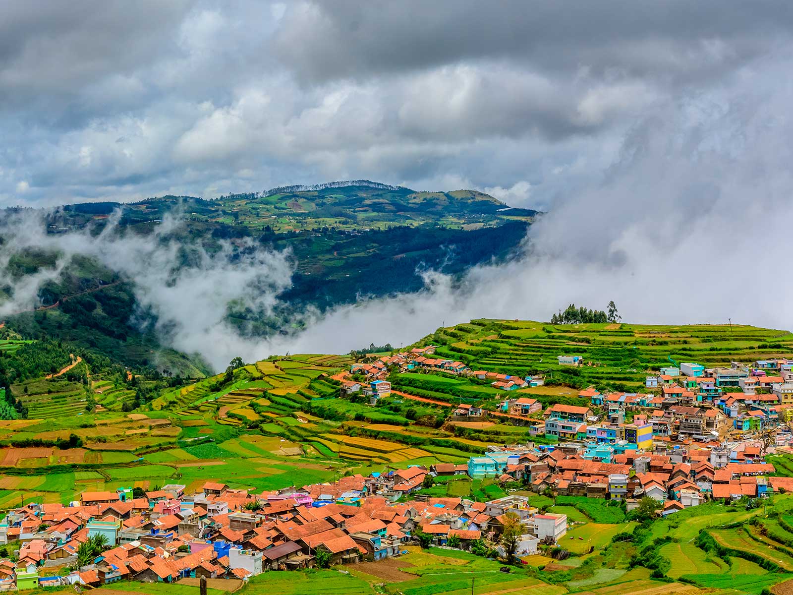 Ooty