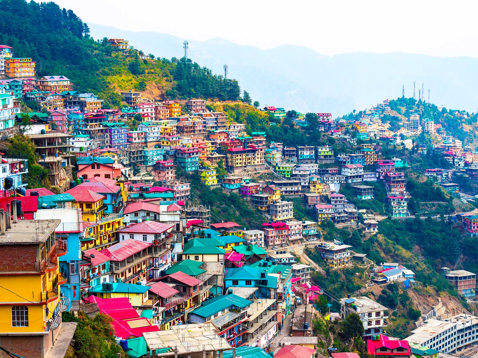 Shimla