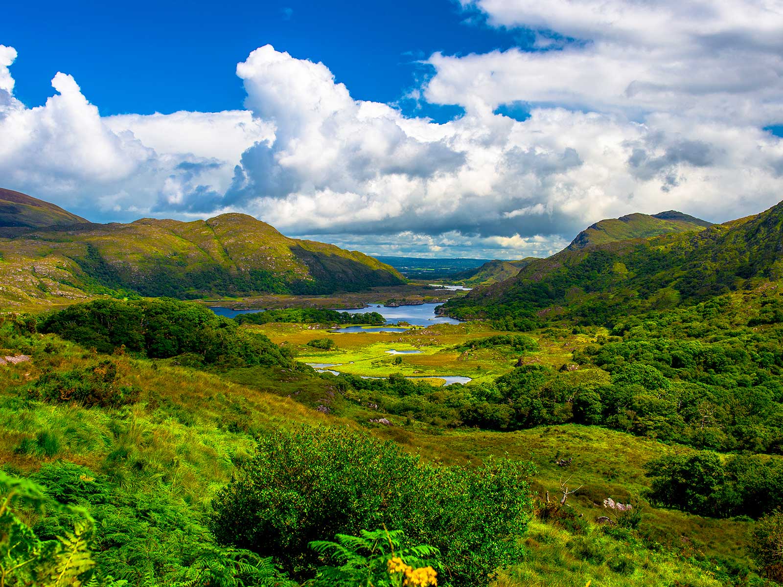 Killarney National Park 1