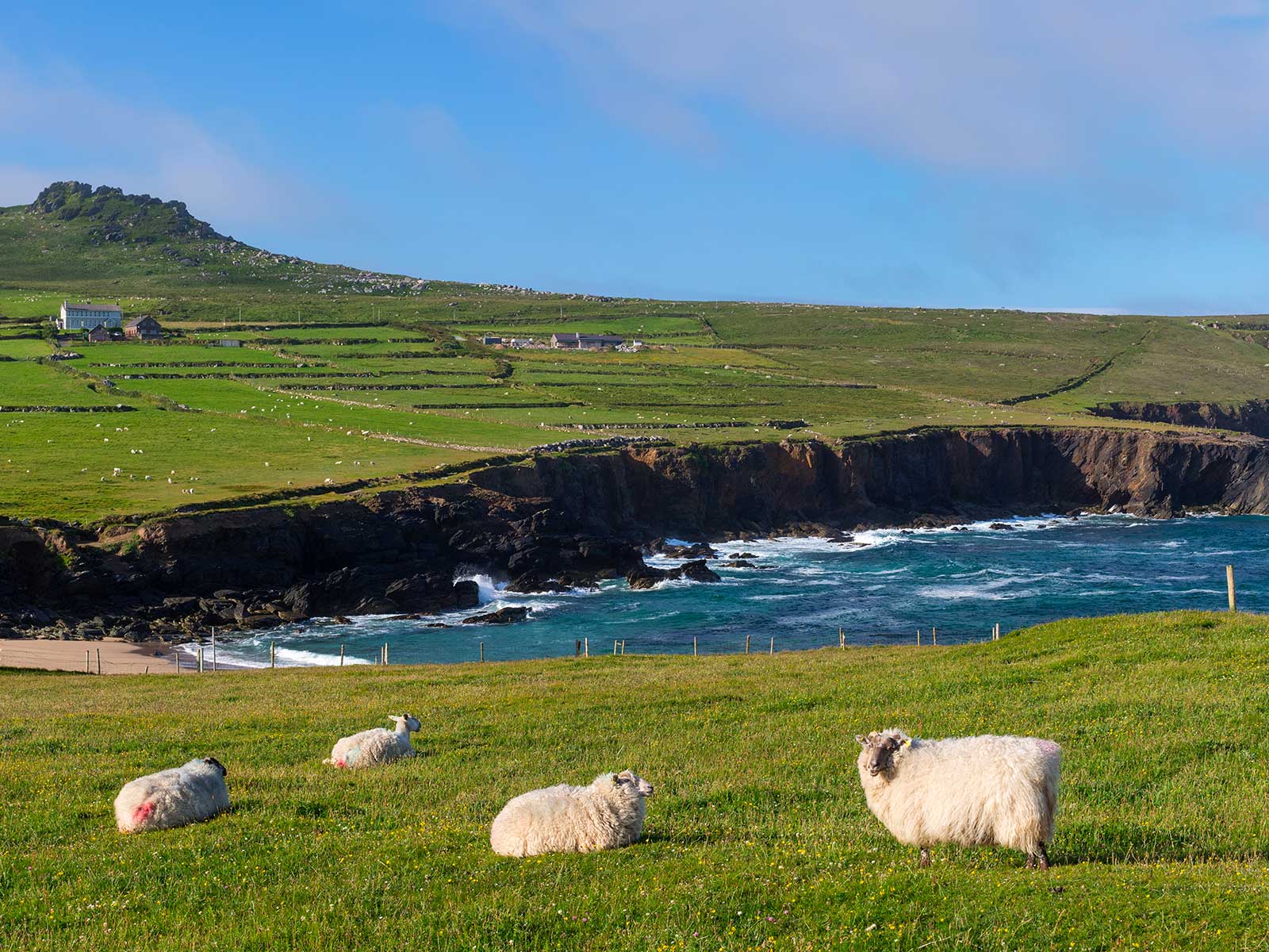 The Dingle Peninsula 2