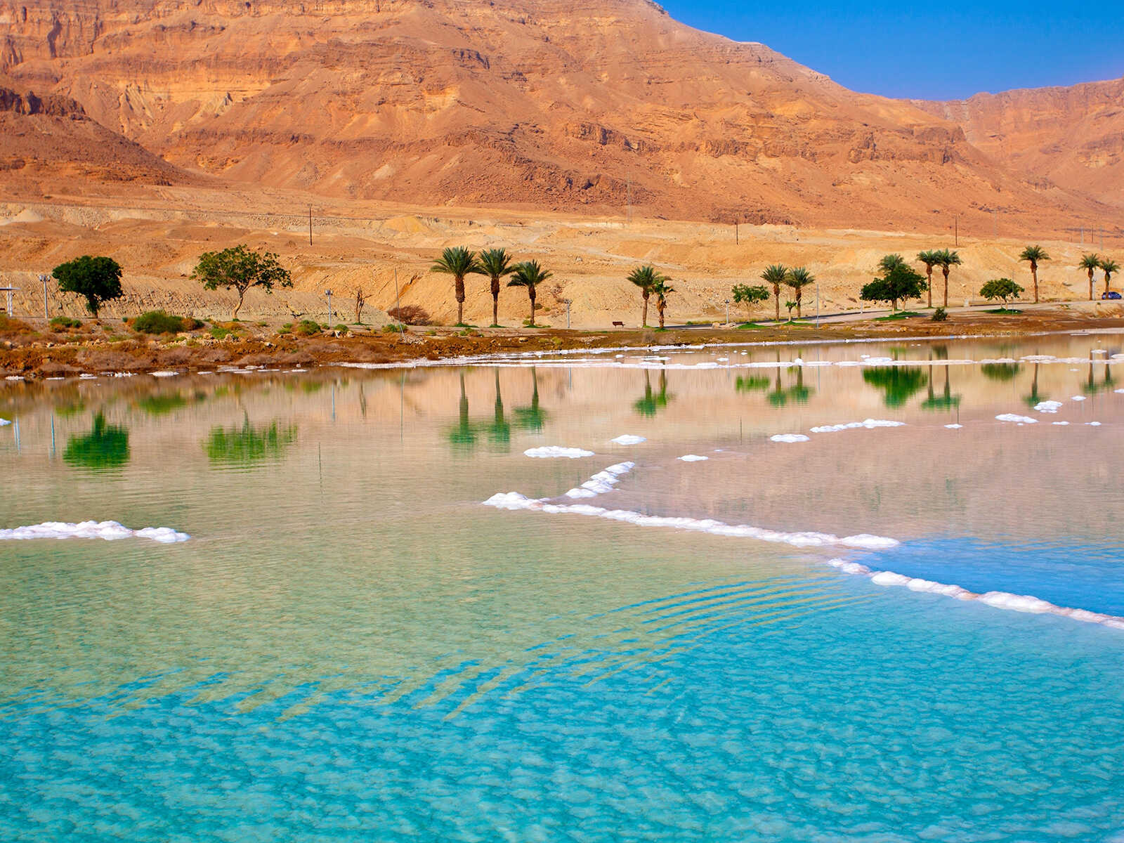 Dead Sea 1
