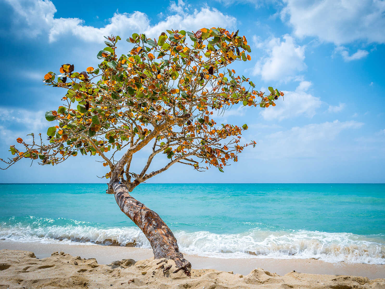 Negril Seven Mile Beach