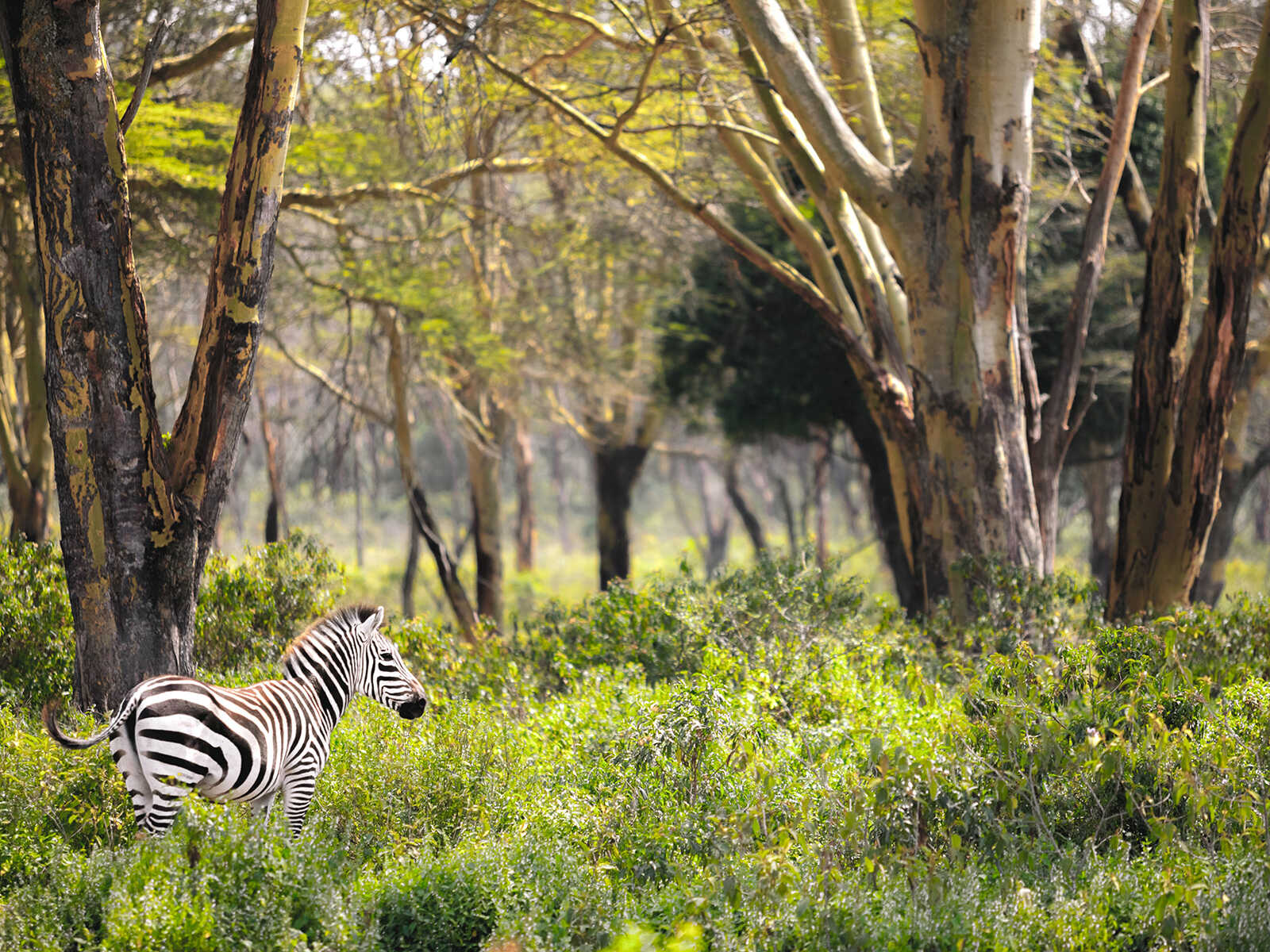 Hells Gate National Park 1