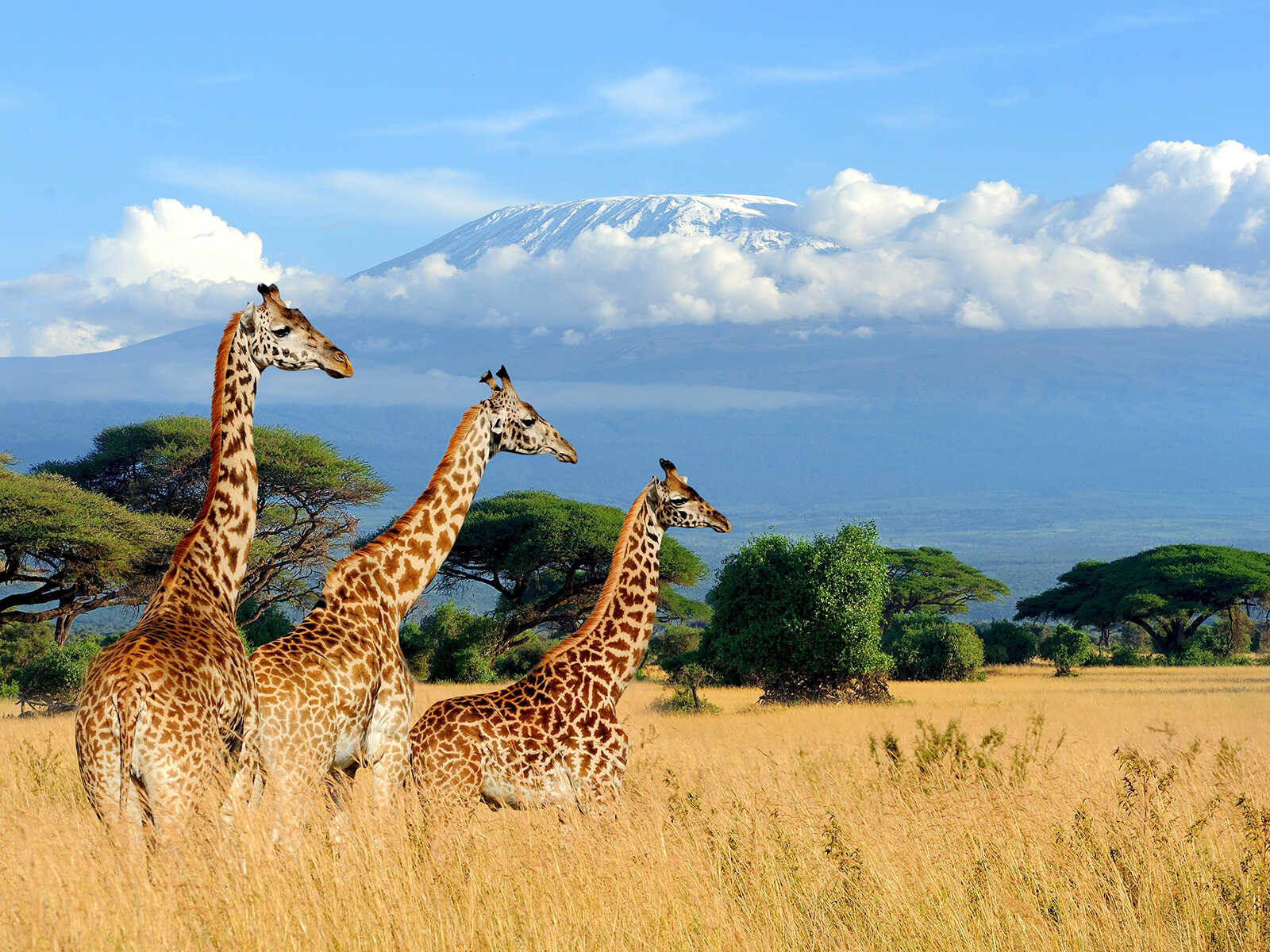 kenya tourism places