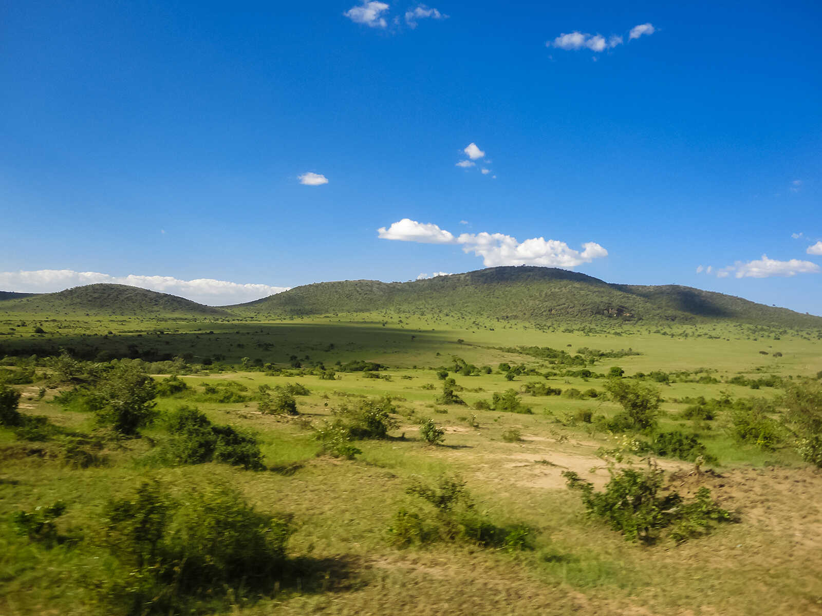 Maasai Mara National Reserve 2