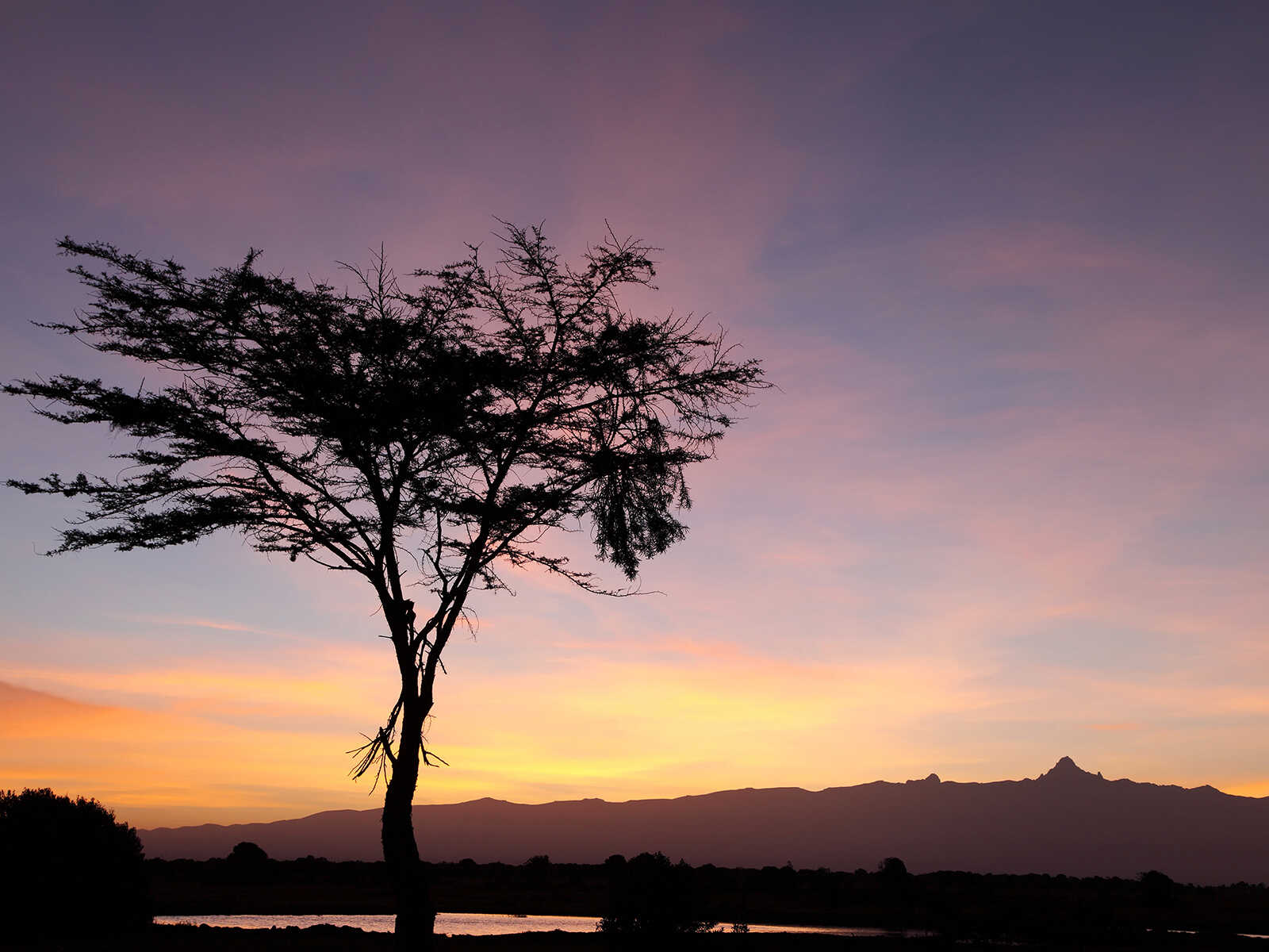 Ol Pejeta Conservancy 2