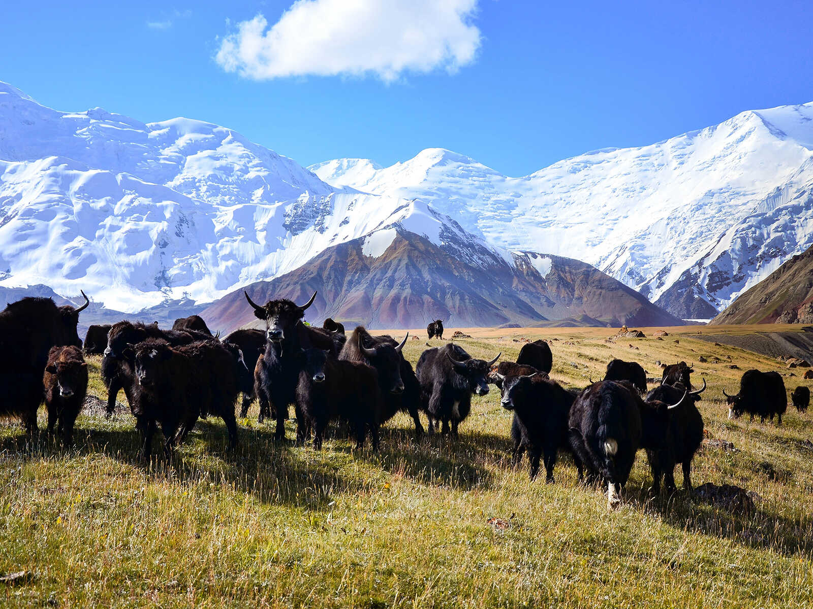 Lenin Peak 2